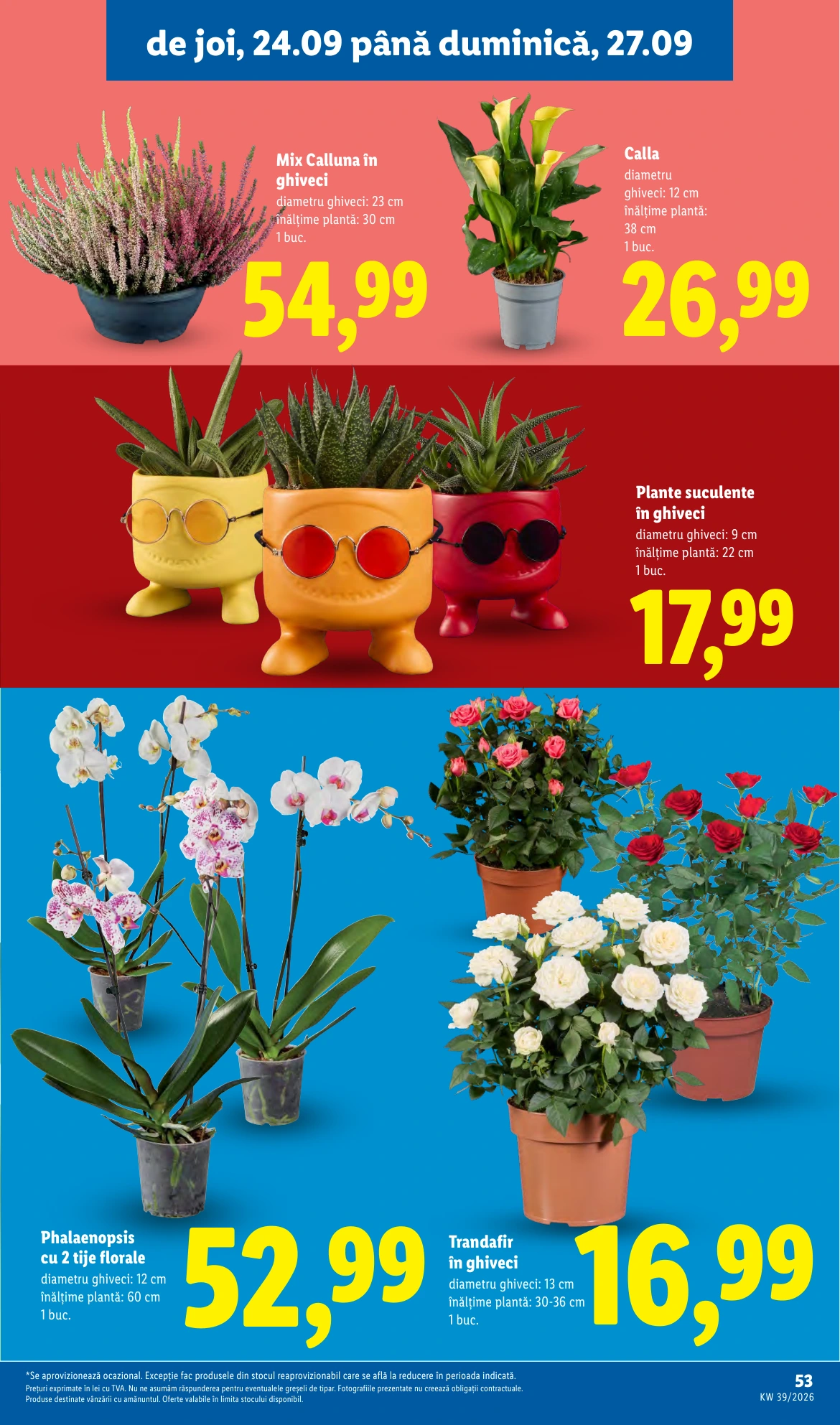 Flyer page 53