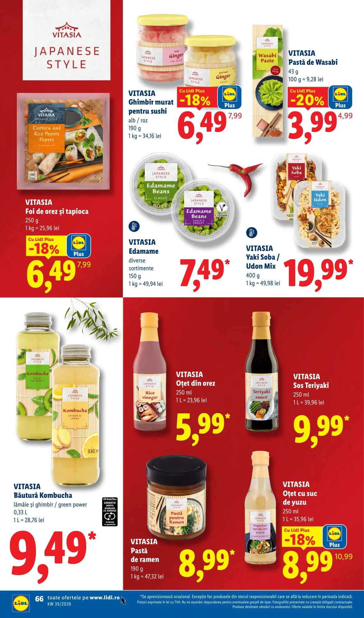 Flyer page 66