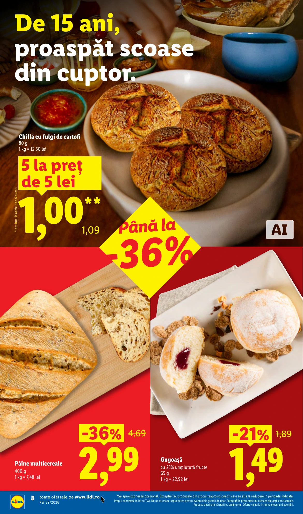 Flyer page 8