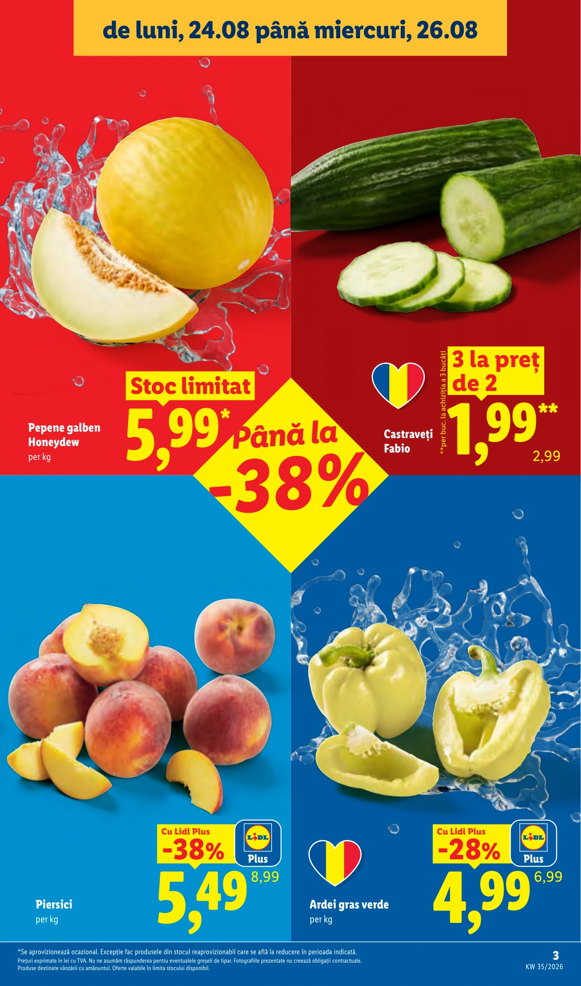 Flyer page 3