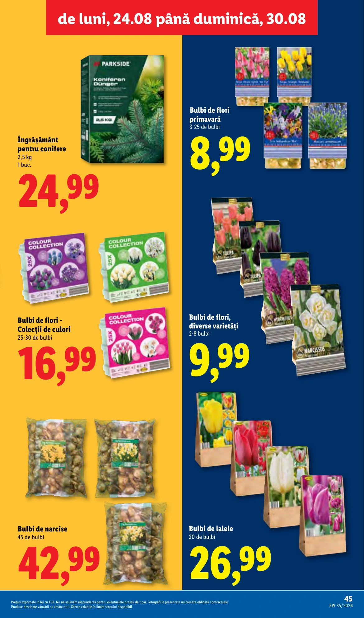 Flyer page 45