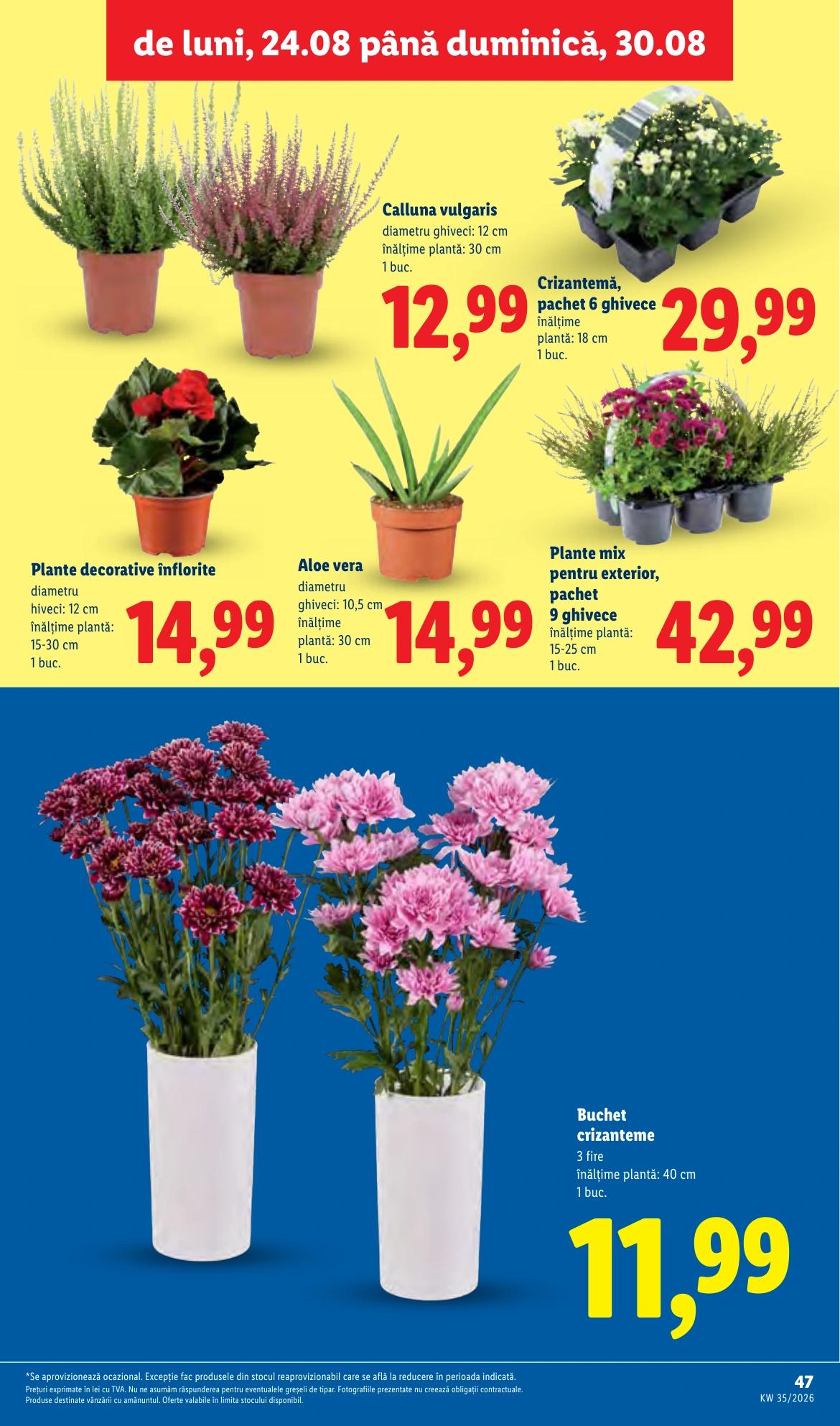 Flyer page 47