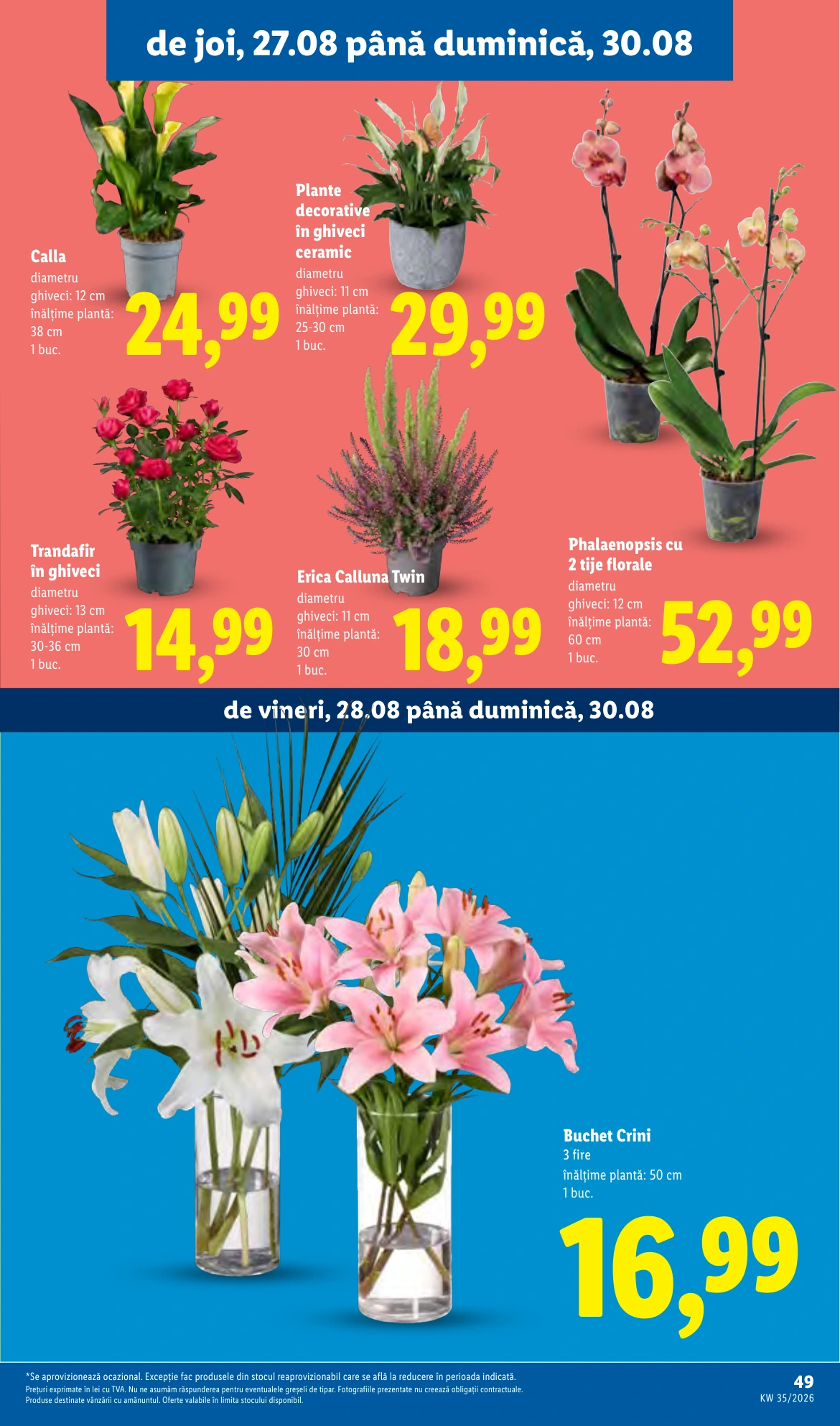Flyer page 49