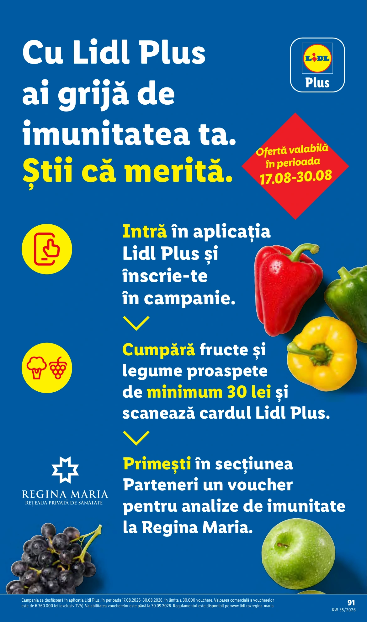 Flyer page 91