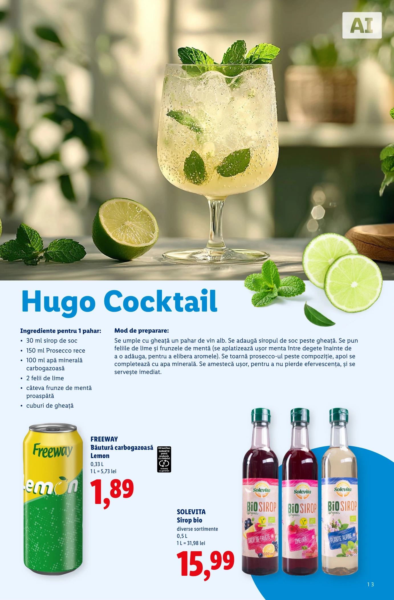 Flyer page 13