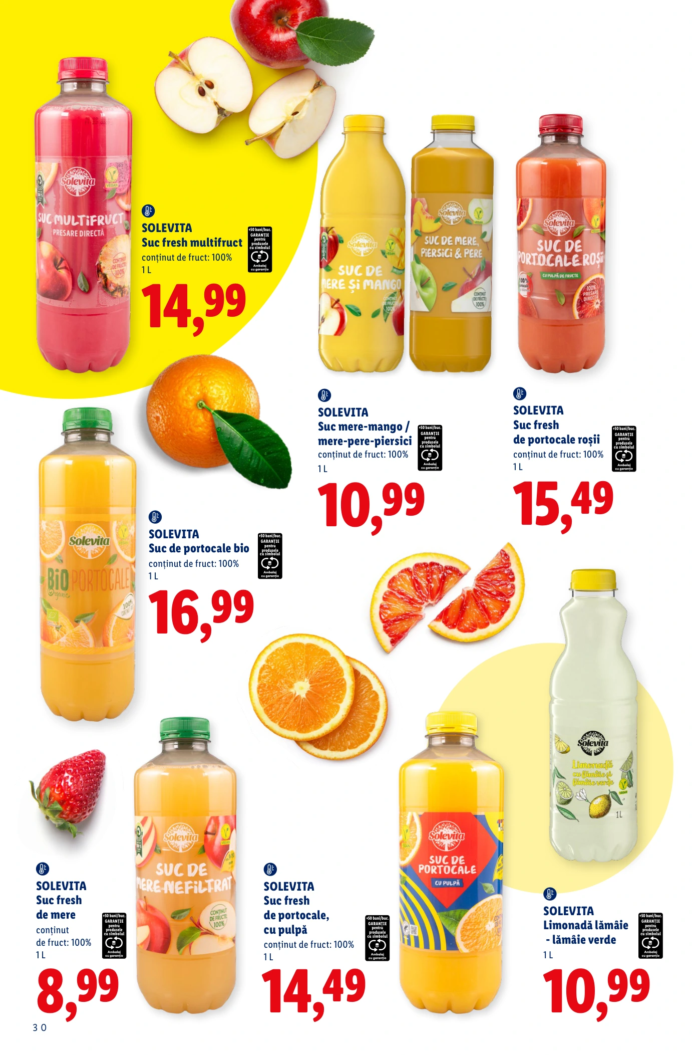 Flyer page 30