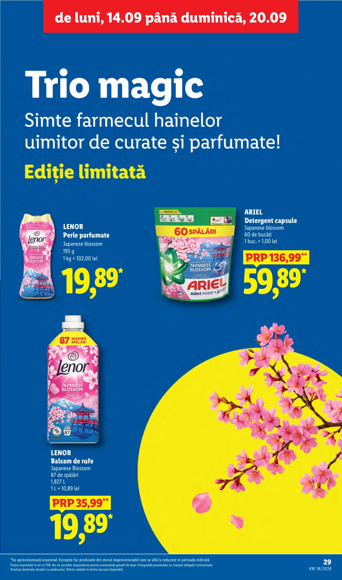 Flyer page 29