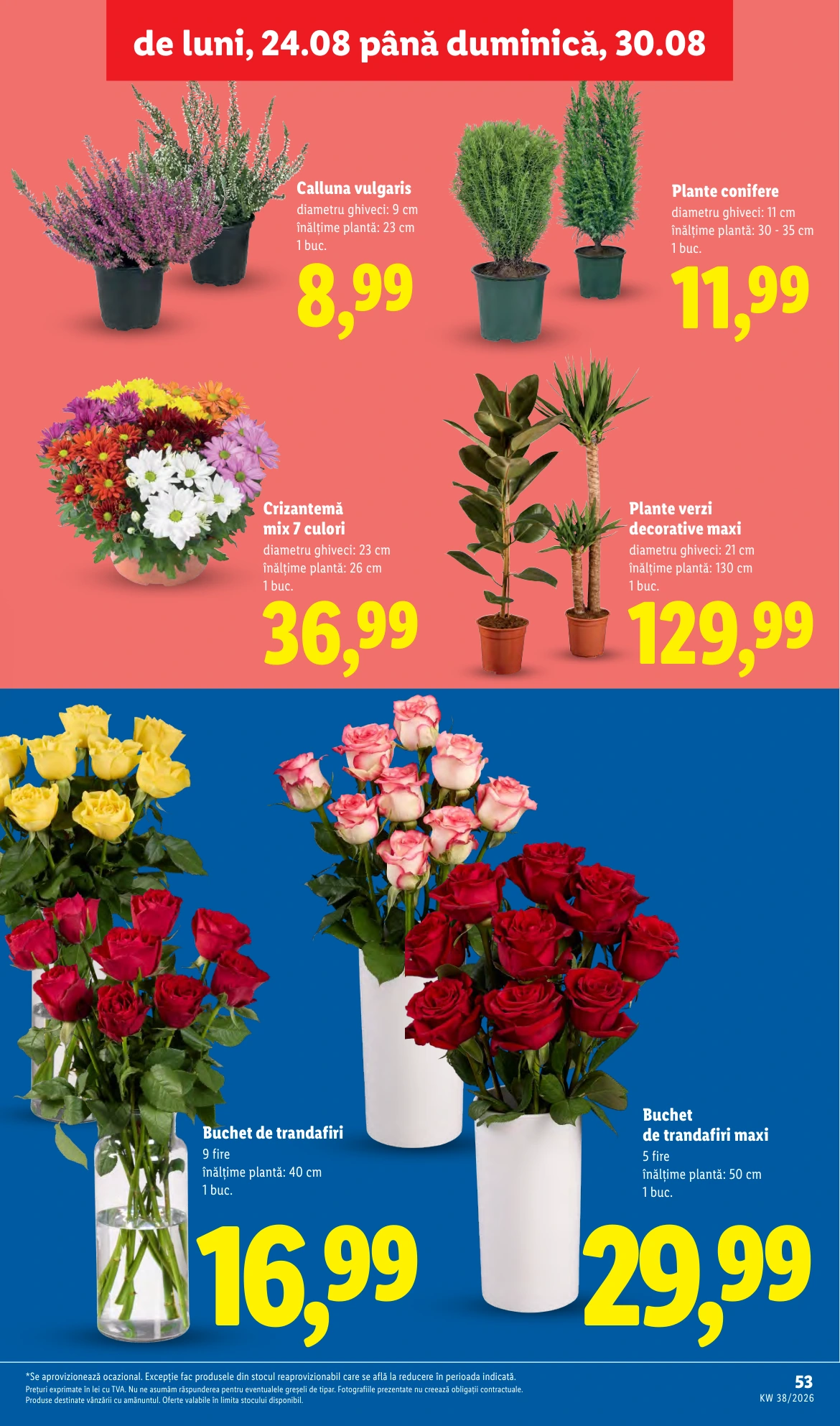 Flyer page 53