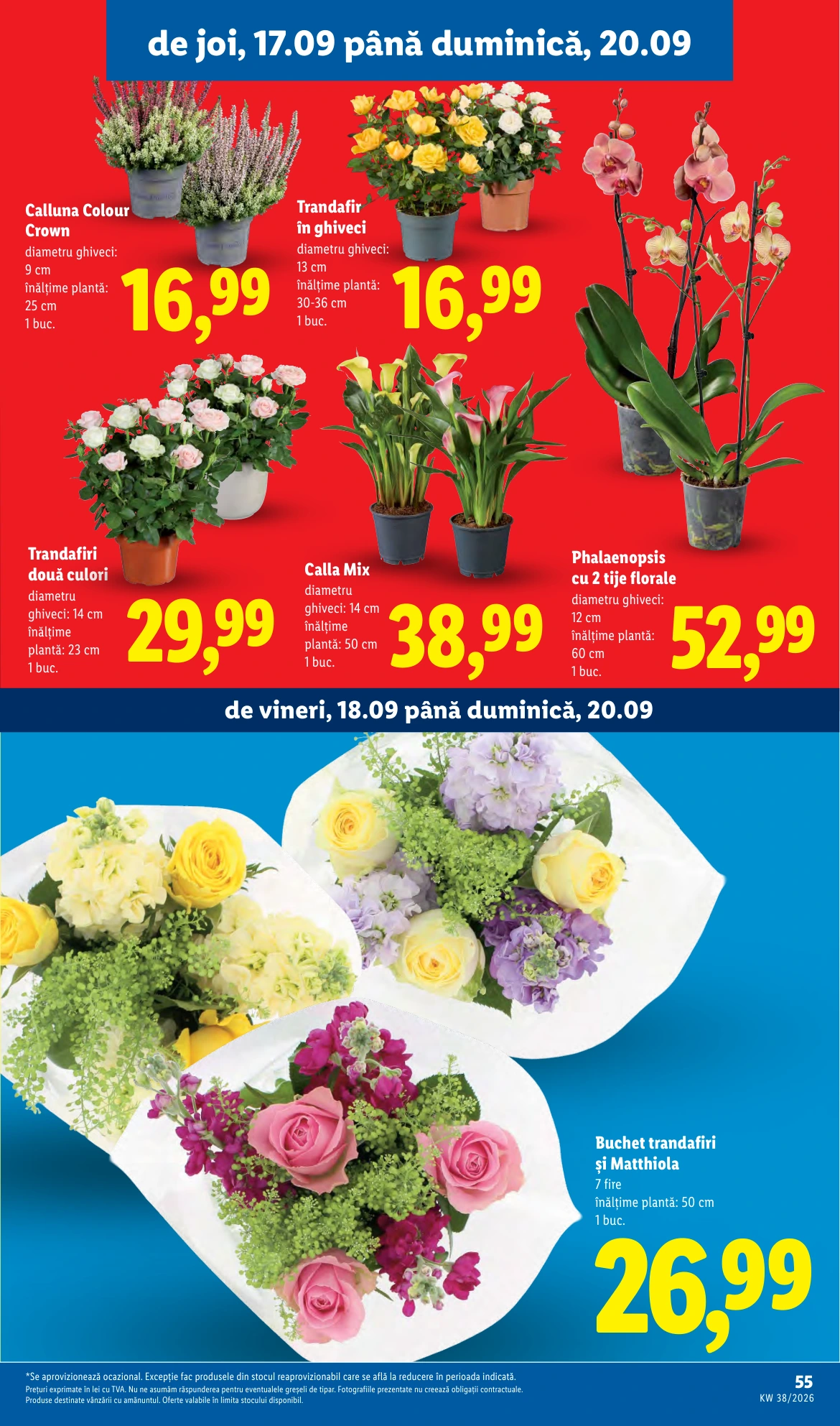 Flyer page 55