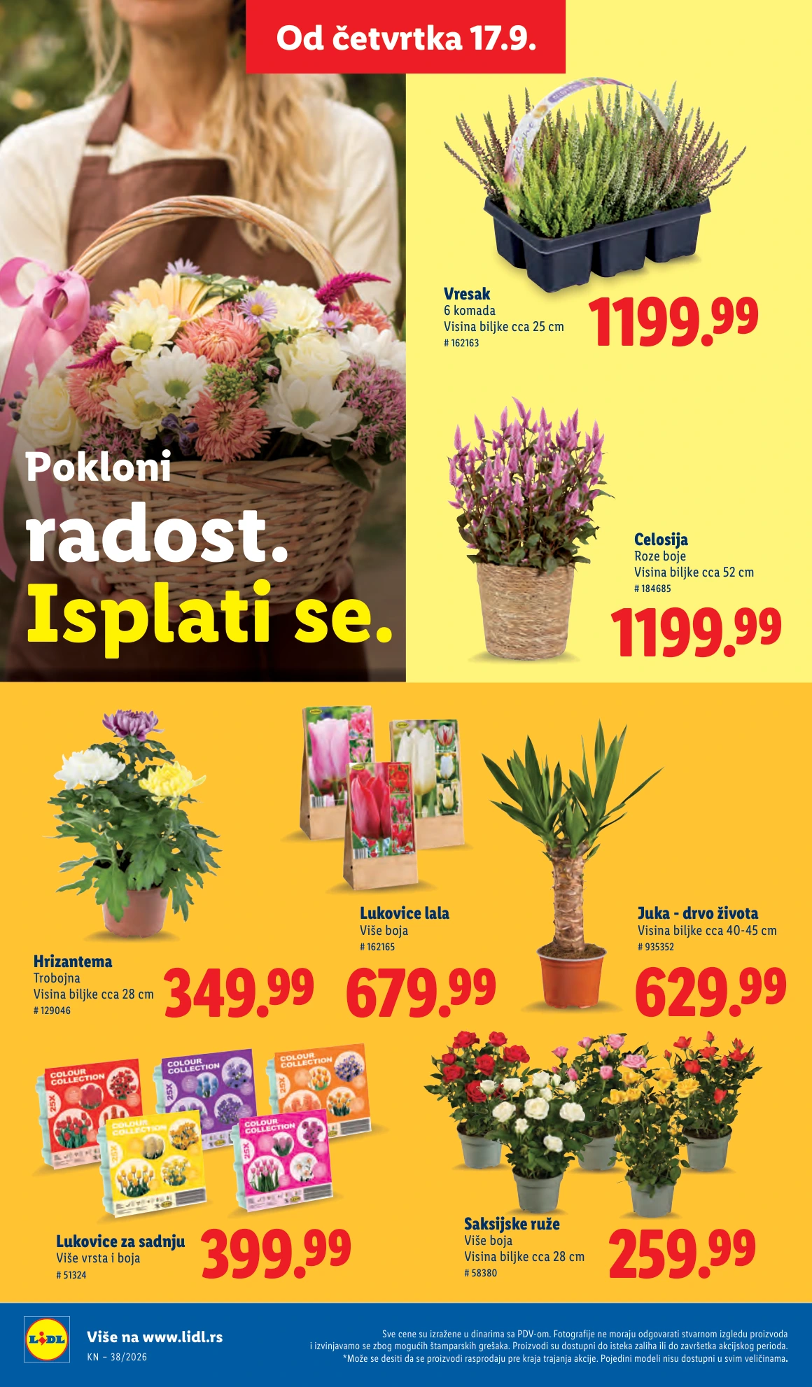 Flyer page 58