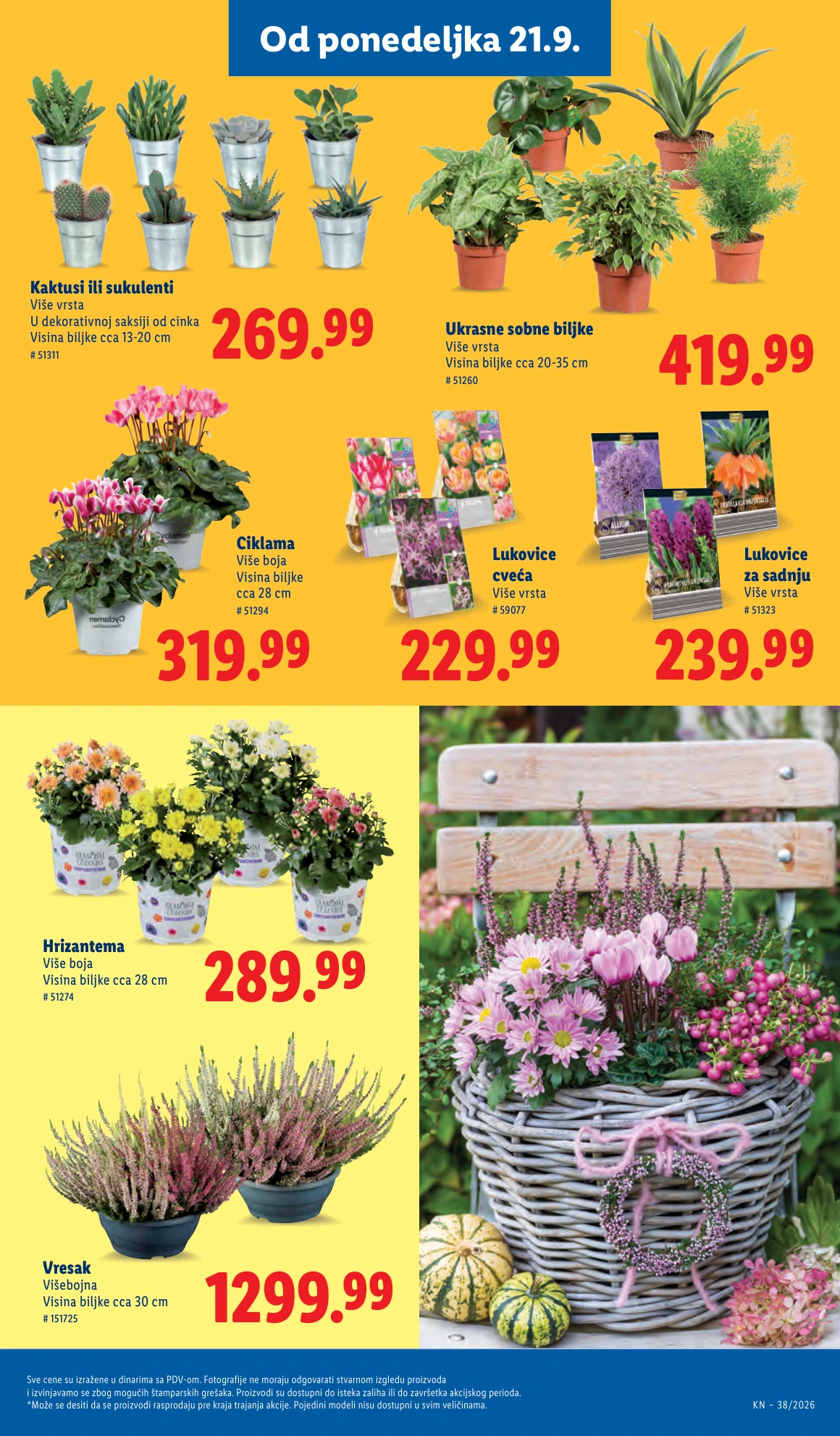 Flyer page 59