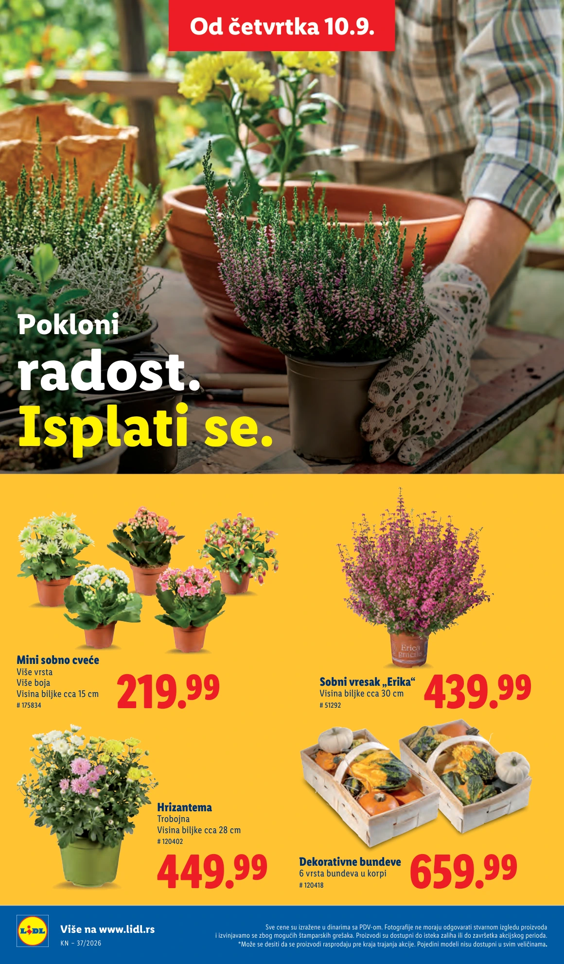 Flyer page 60