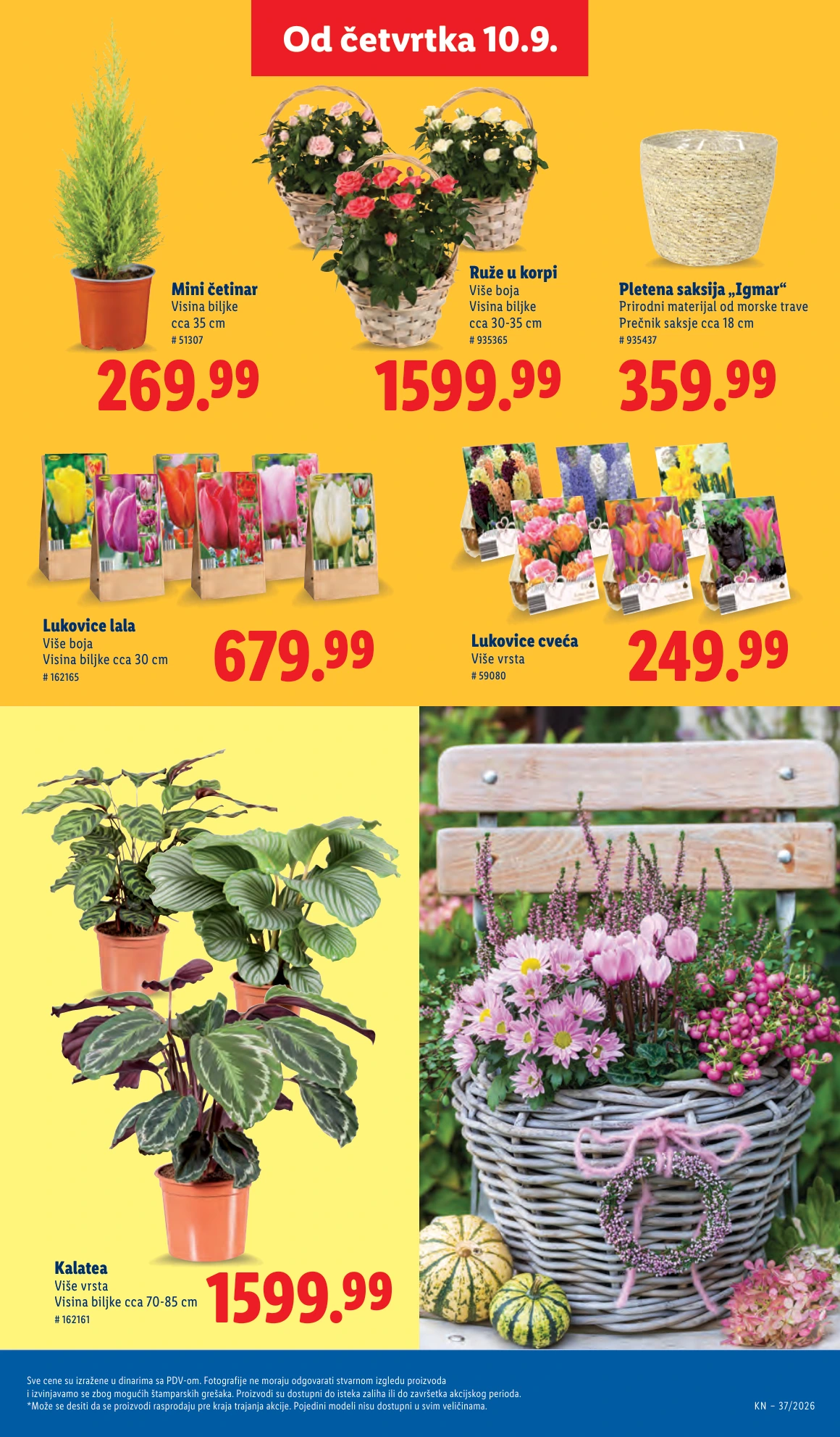 Flyer page 61