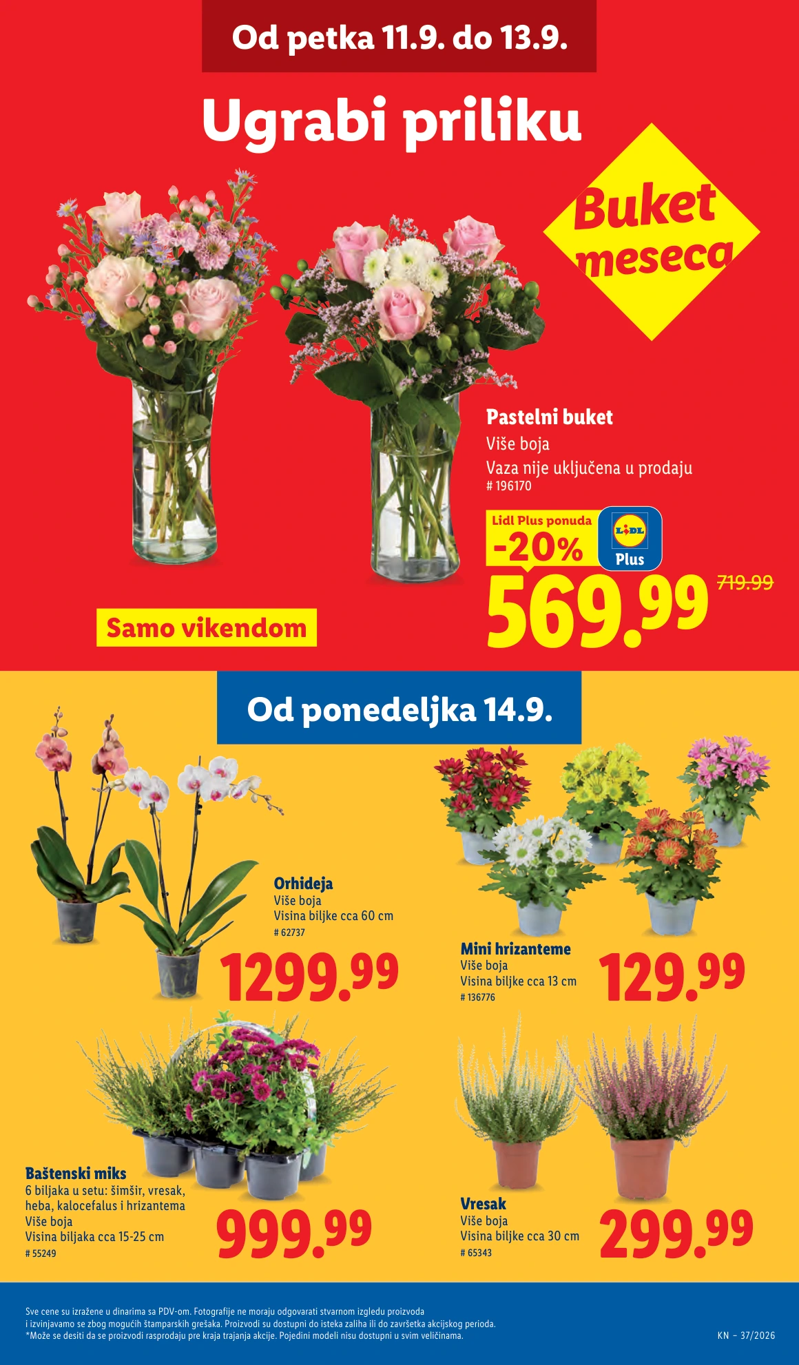Flyer page 63
