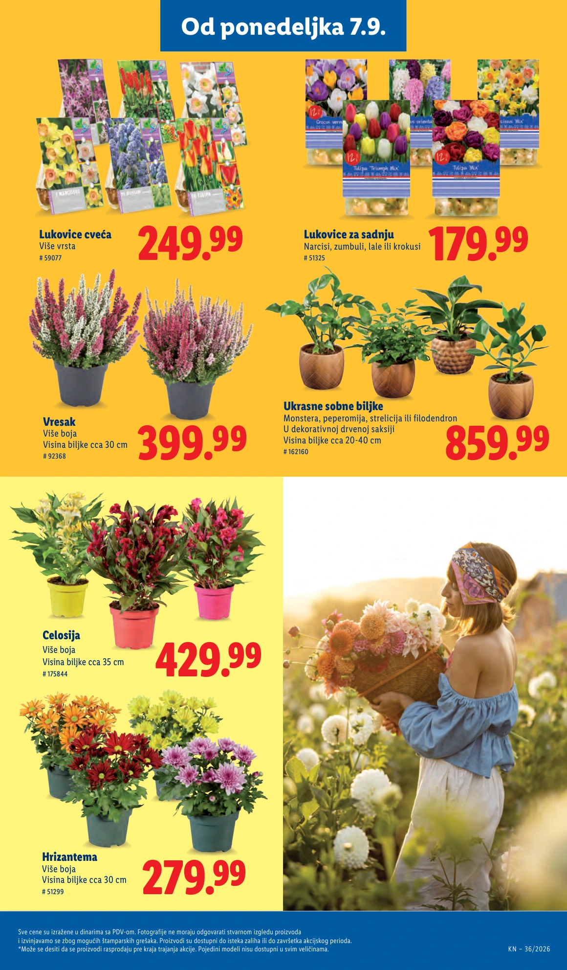 Flyer page 83