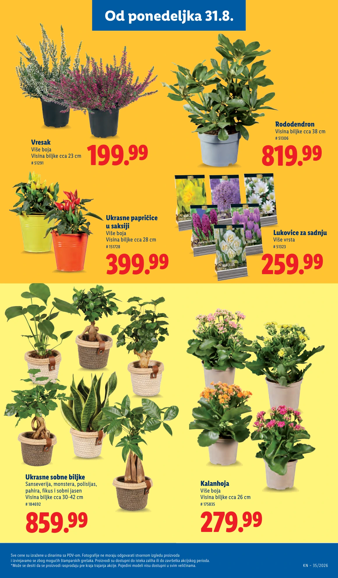 Flyer page 69