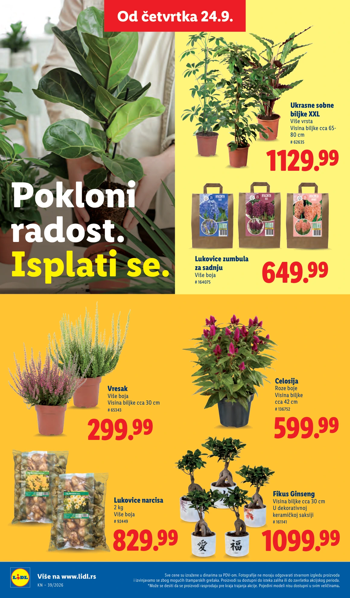 Flyer page 64