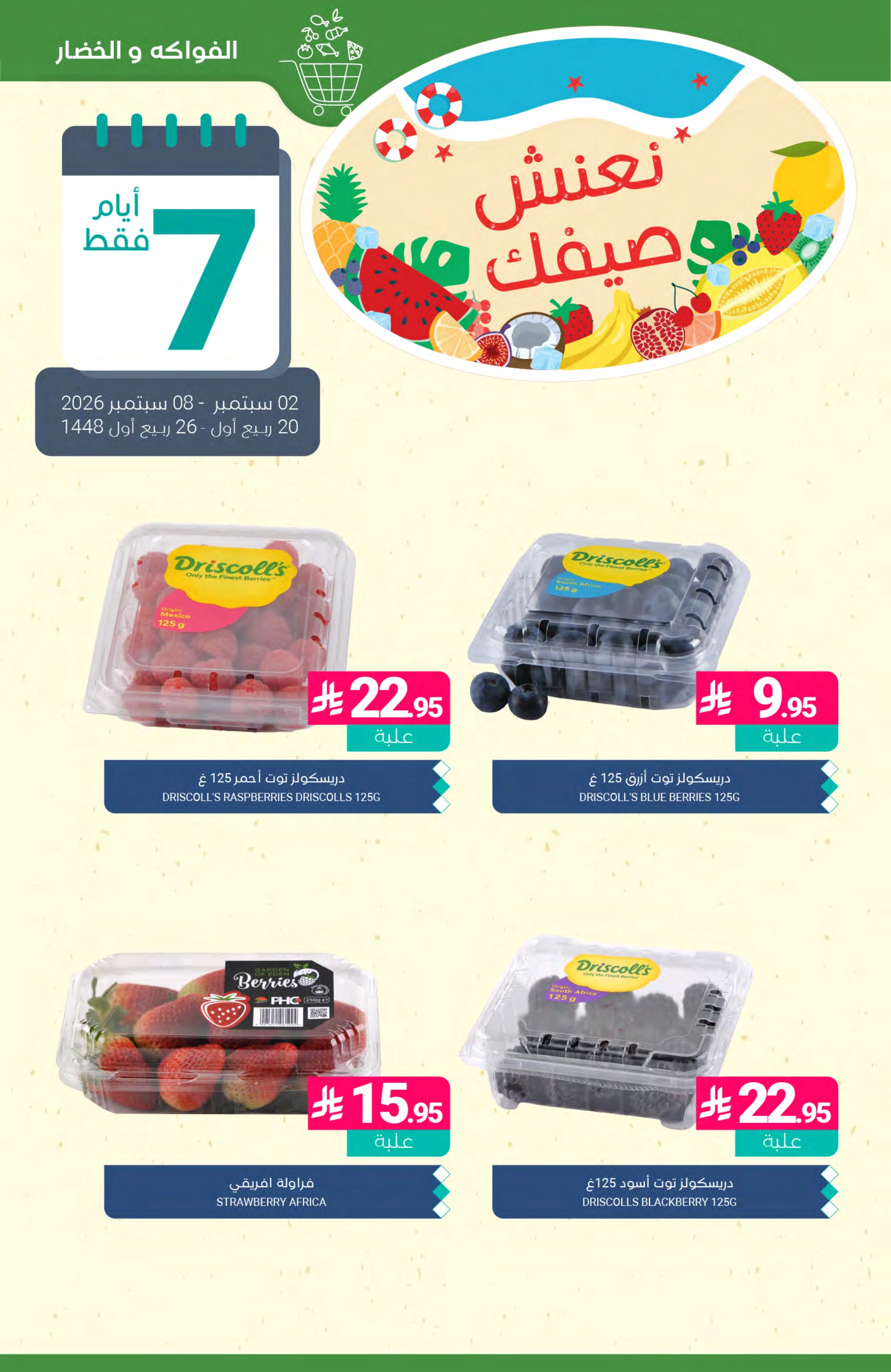 Flyer page 4