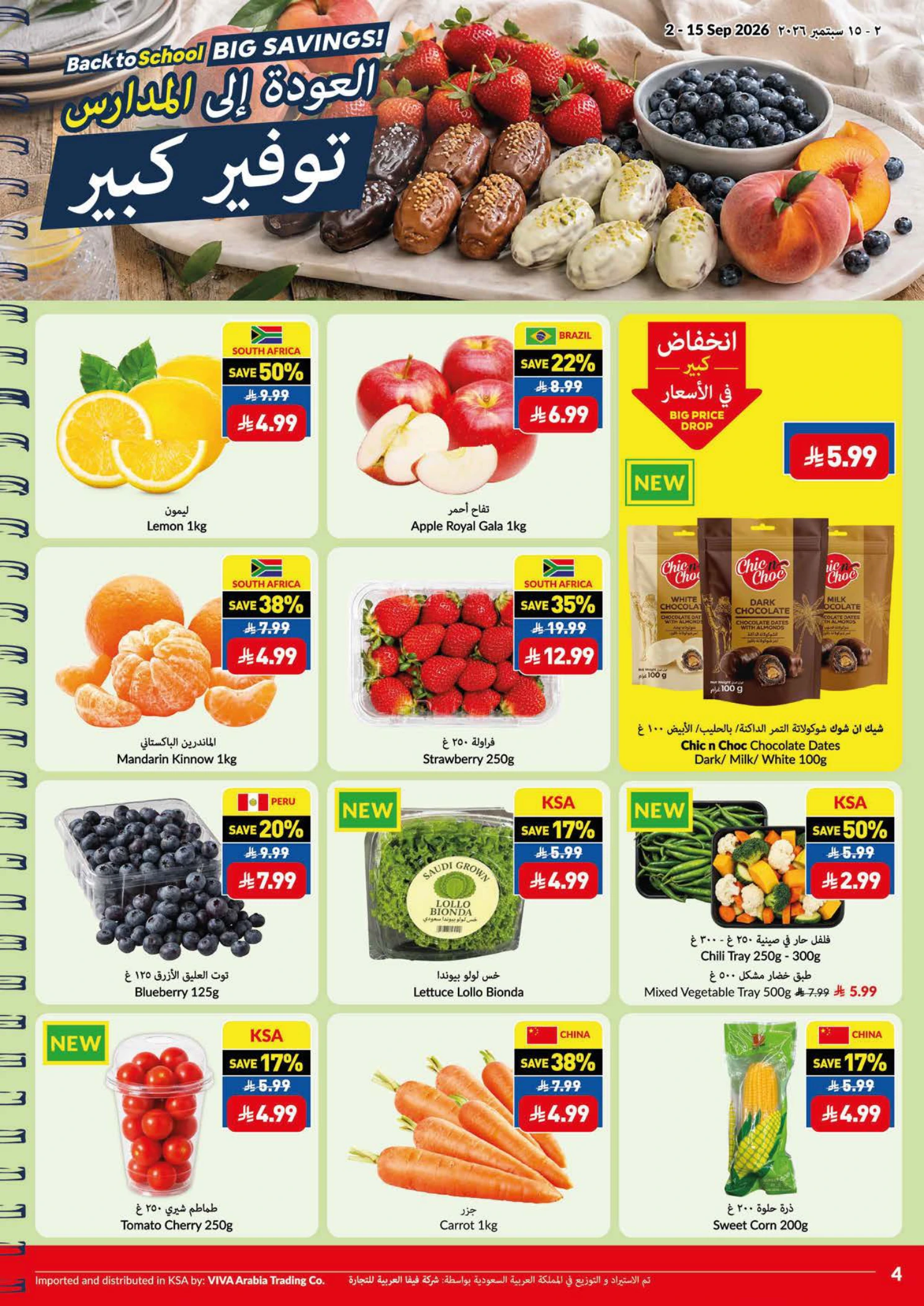 Flyer page 4