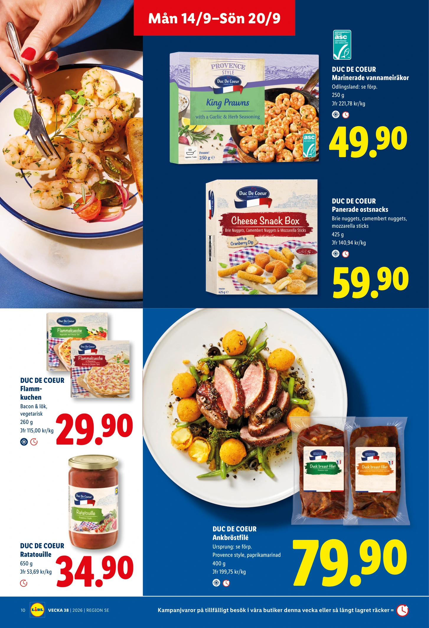 Flyer page 11