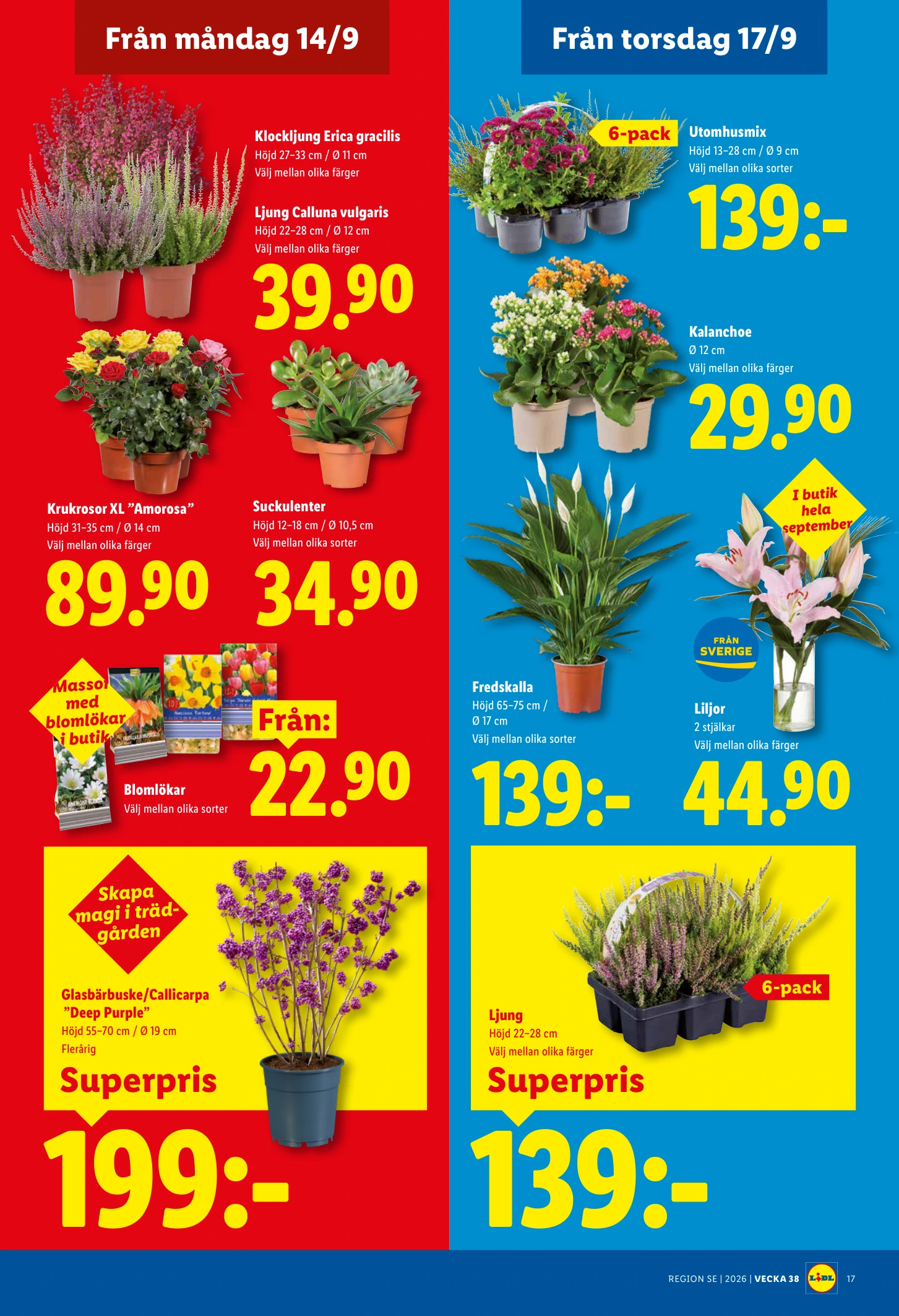 Flyer page 20