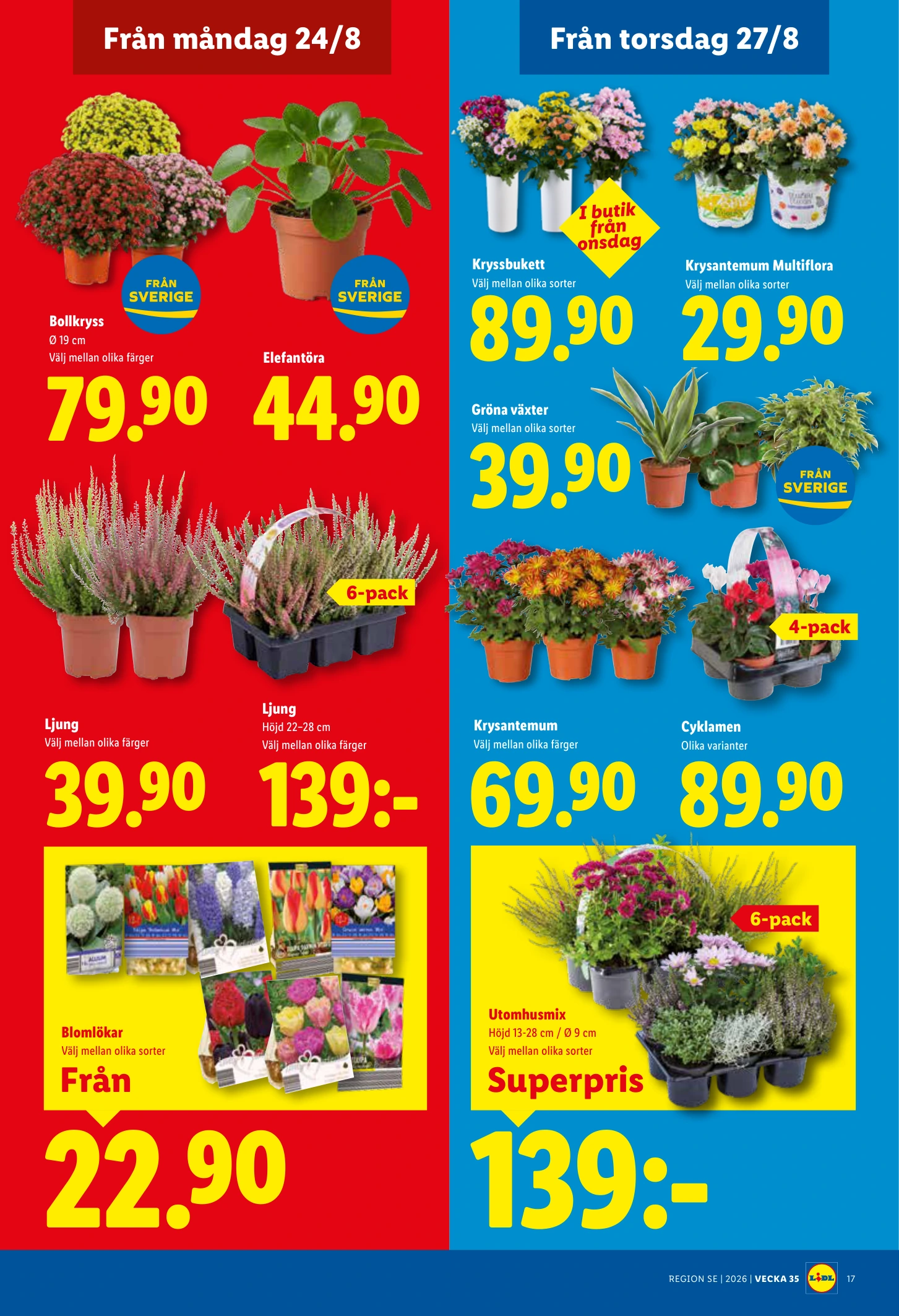 Flyer page 19