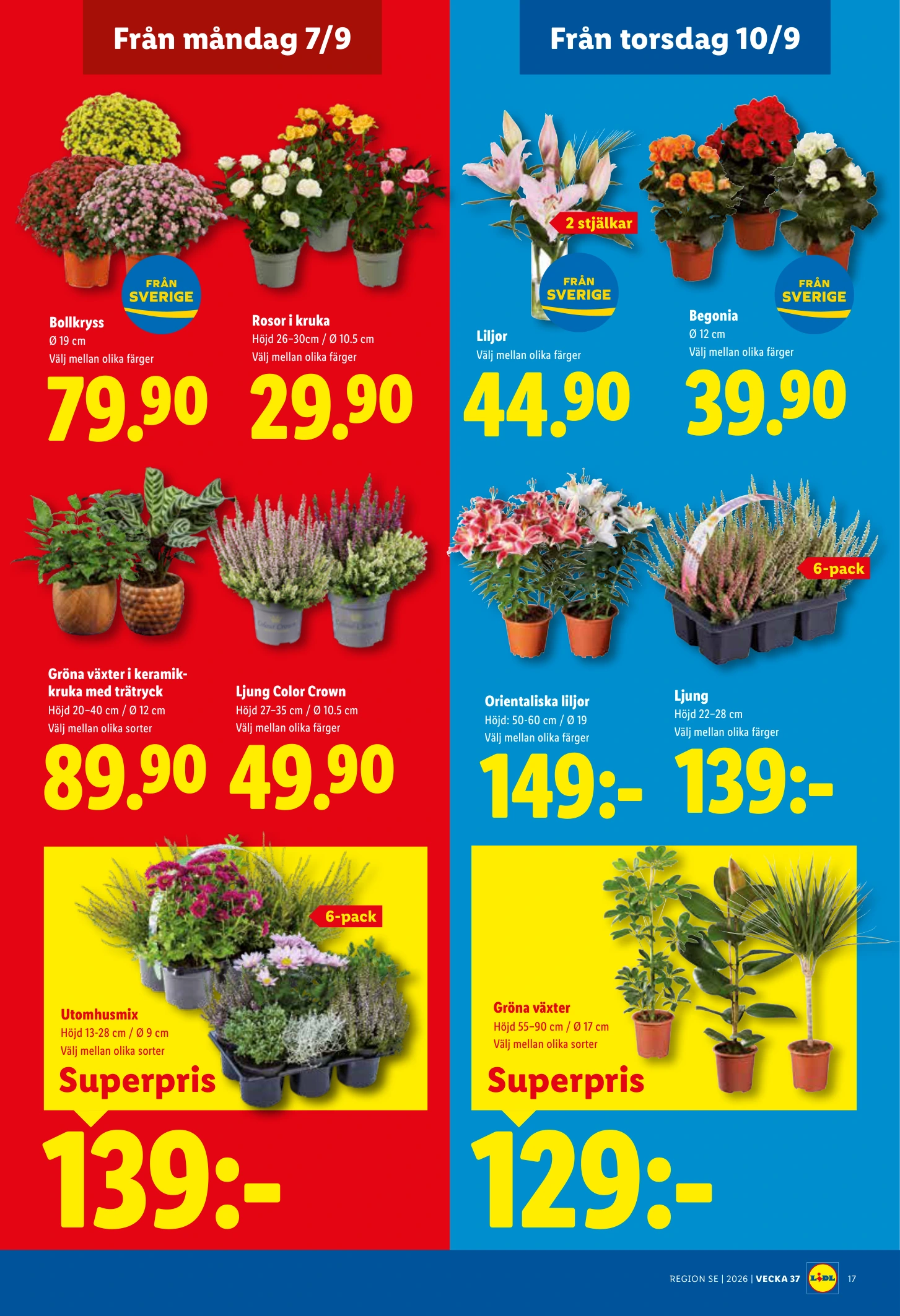 Flyer page 22