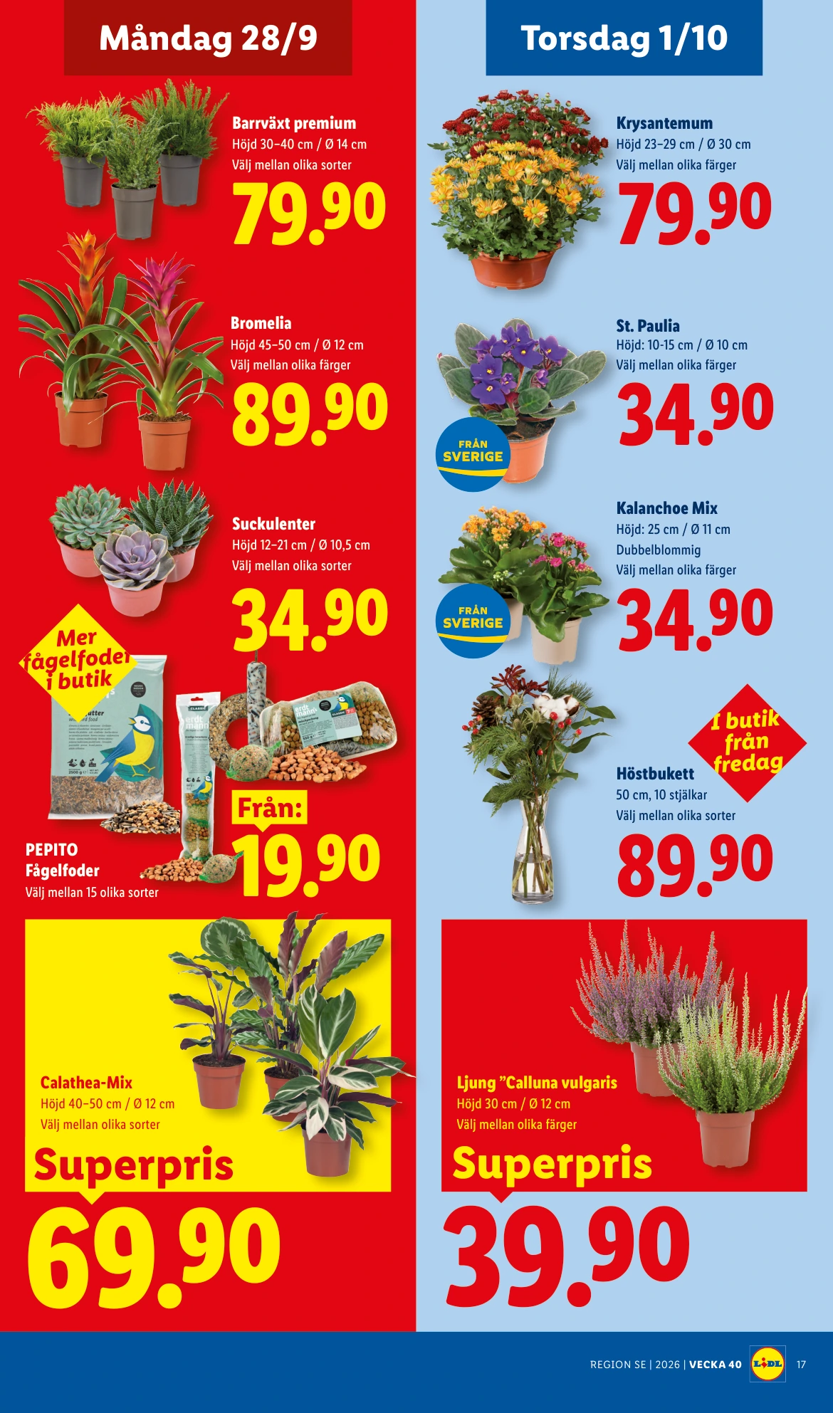 Flyer page 20