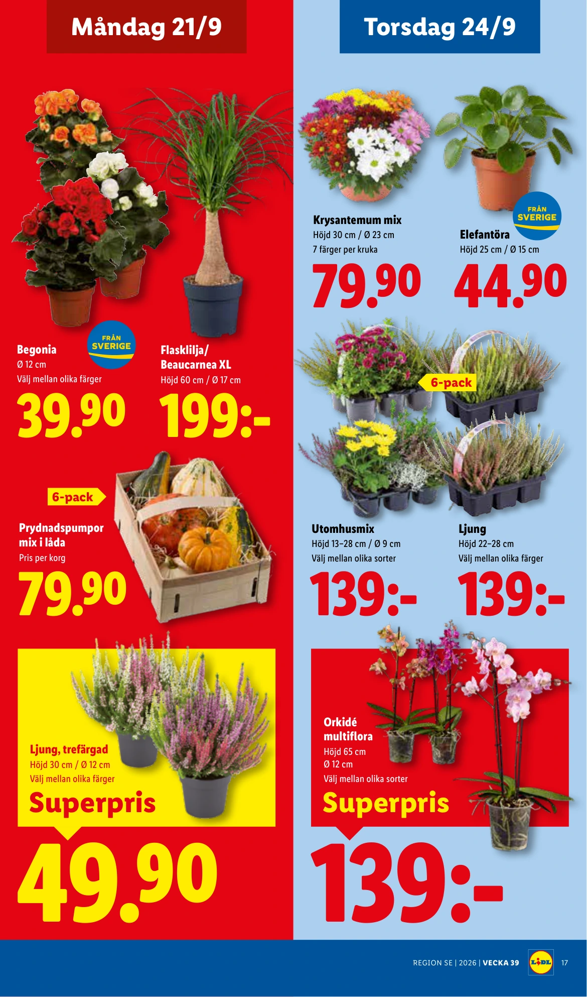 Flyer page 20