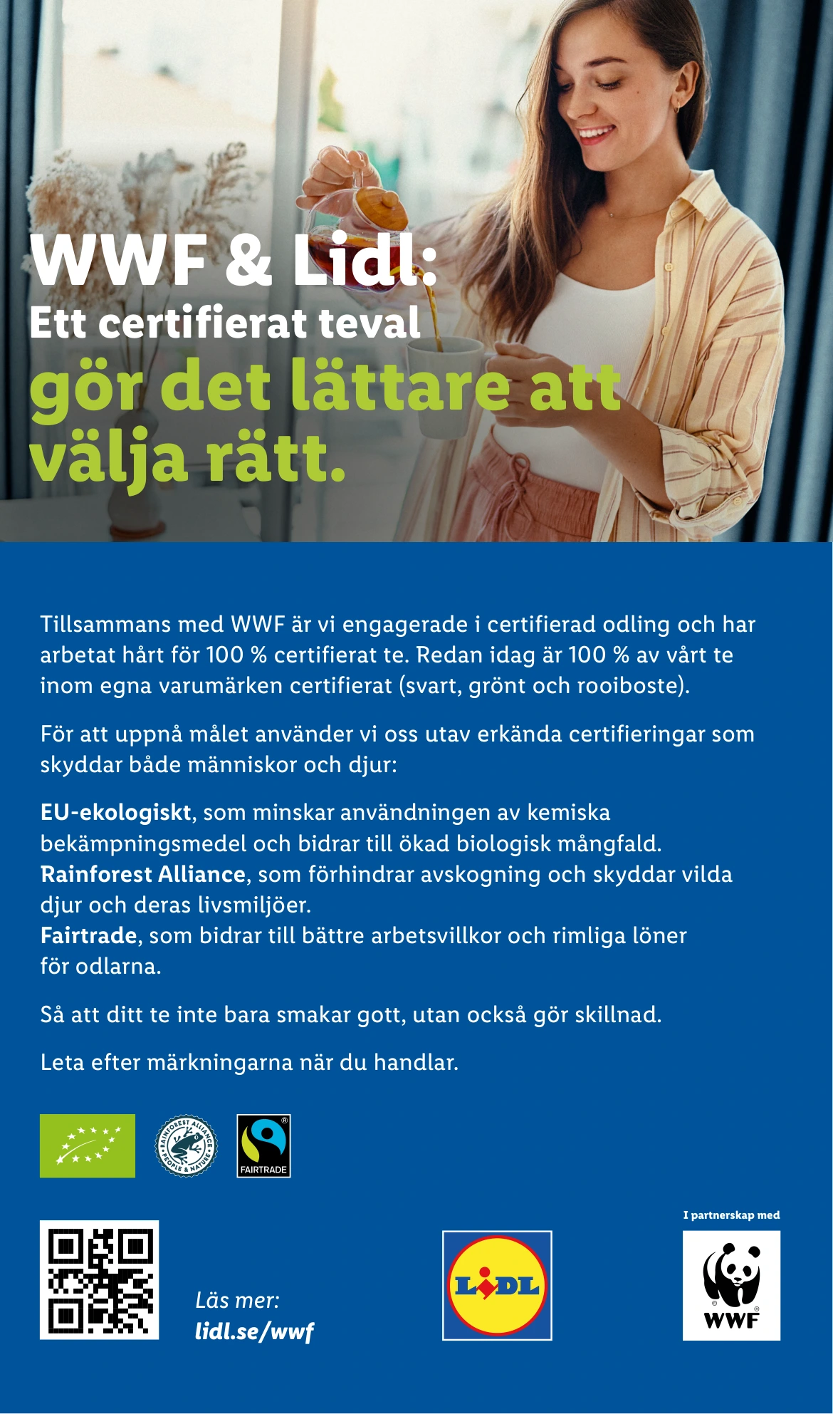Flyer page 5