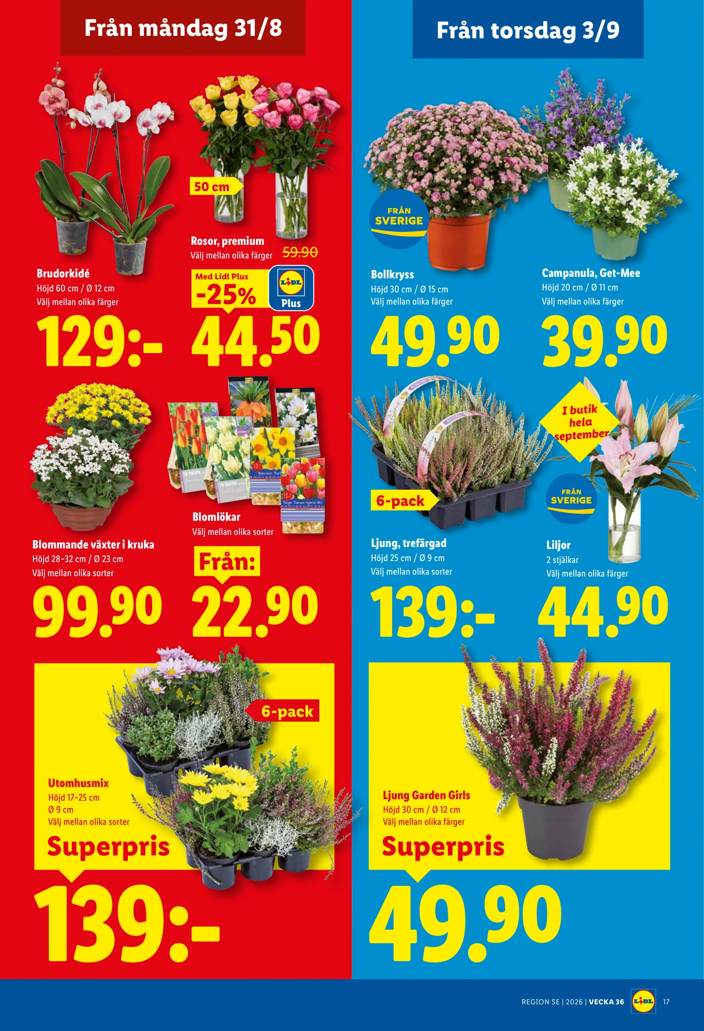 Flyer page 20