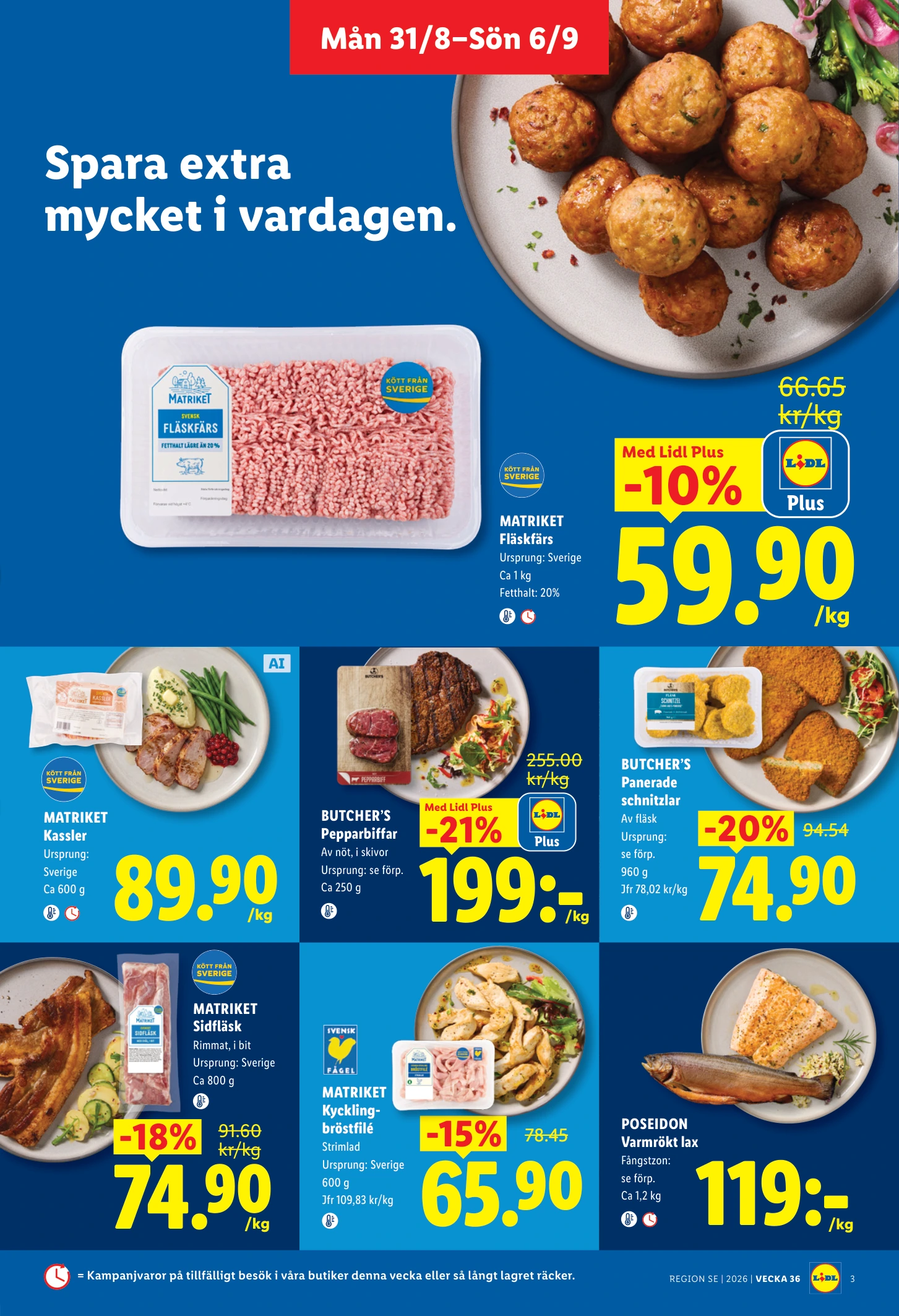 Flyer page 3