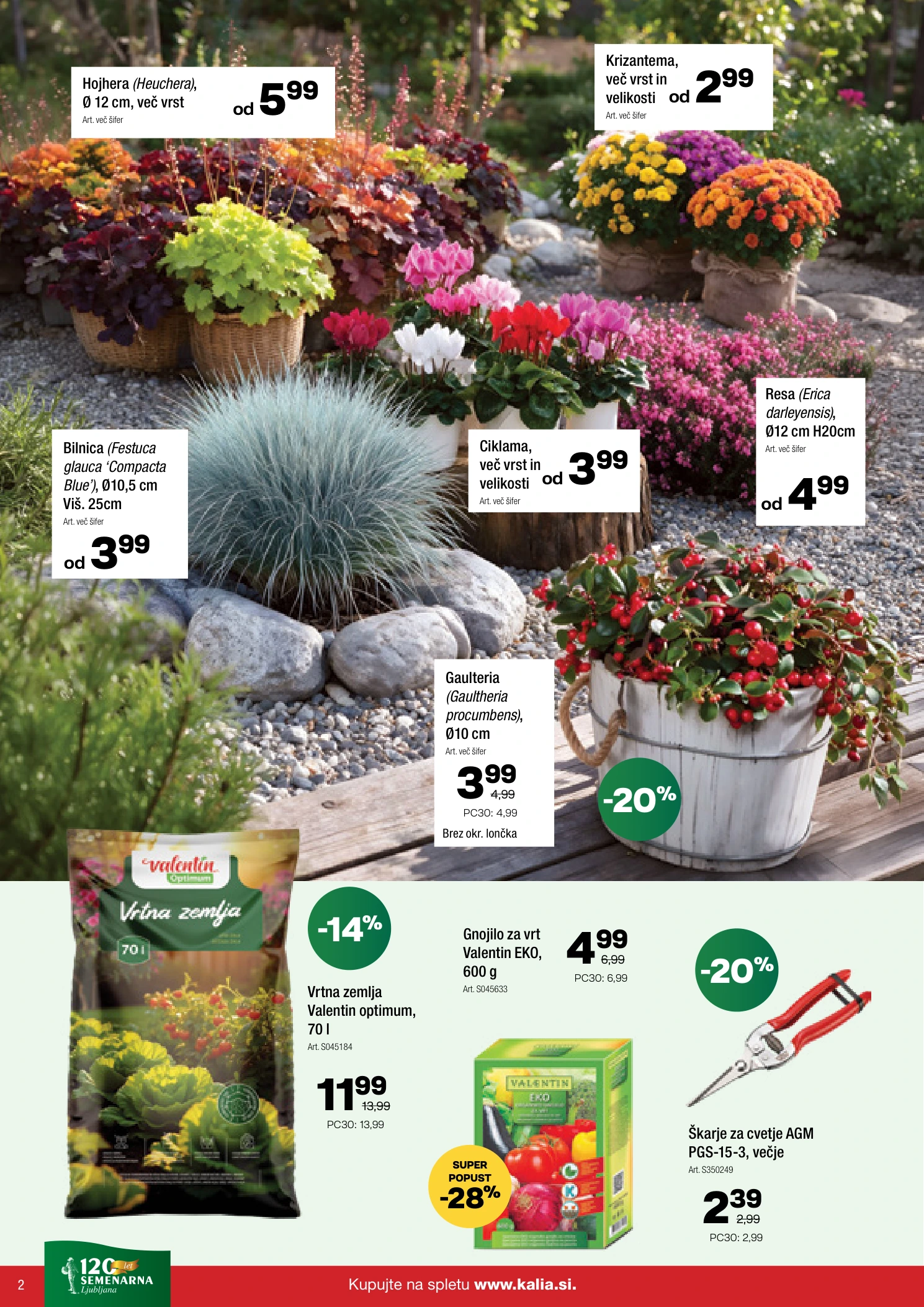 Flyer page 2
