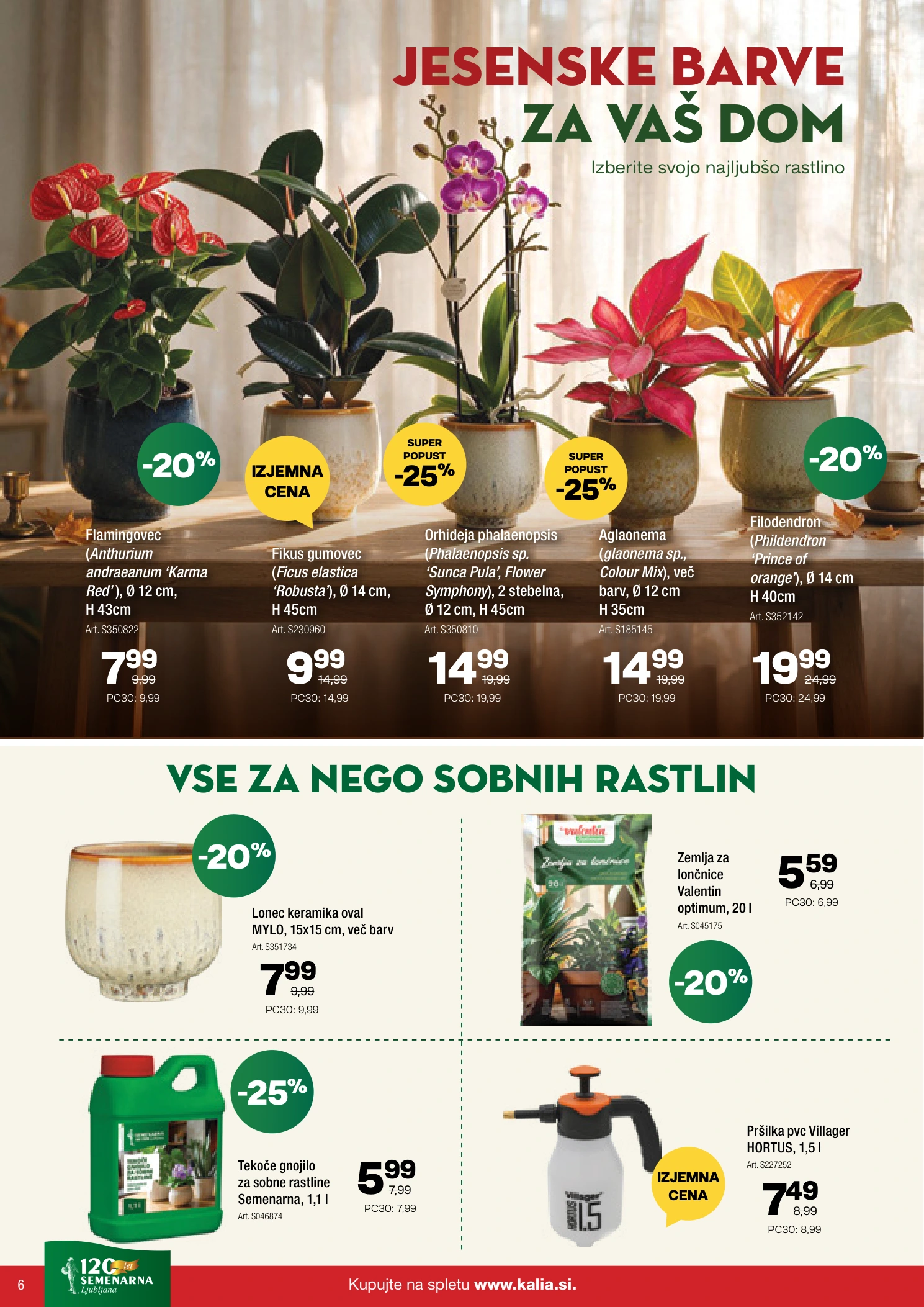 Flyer page 6