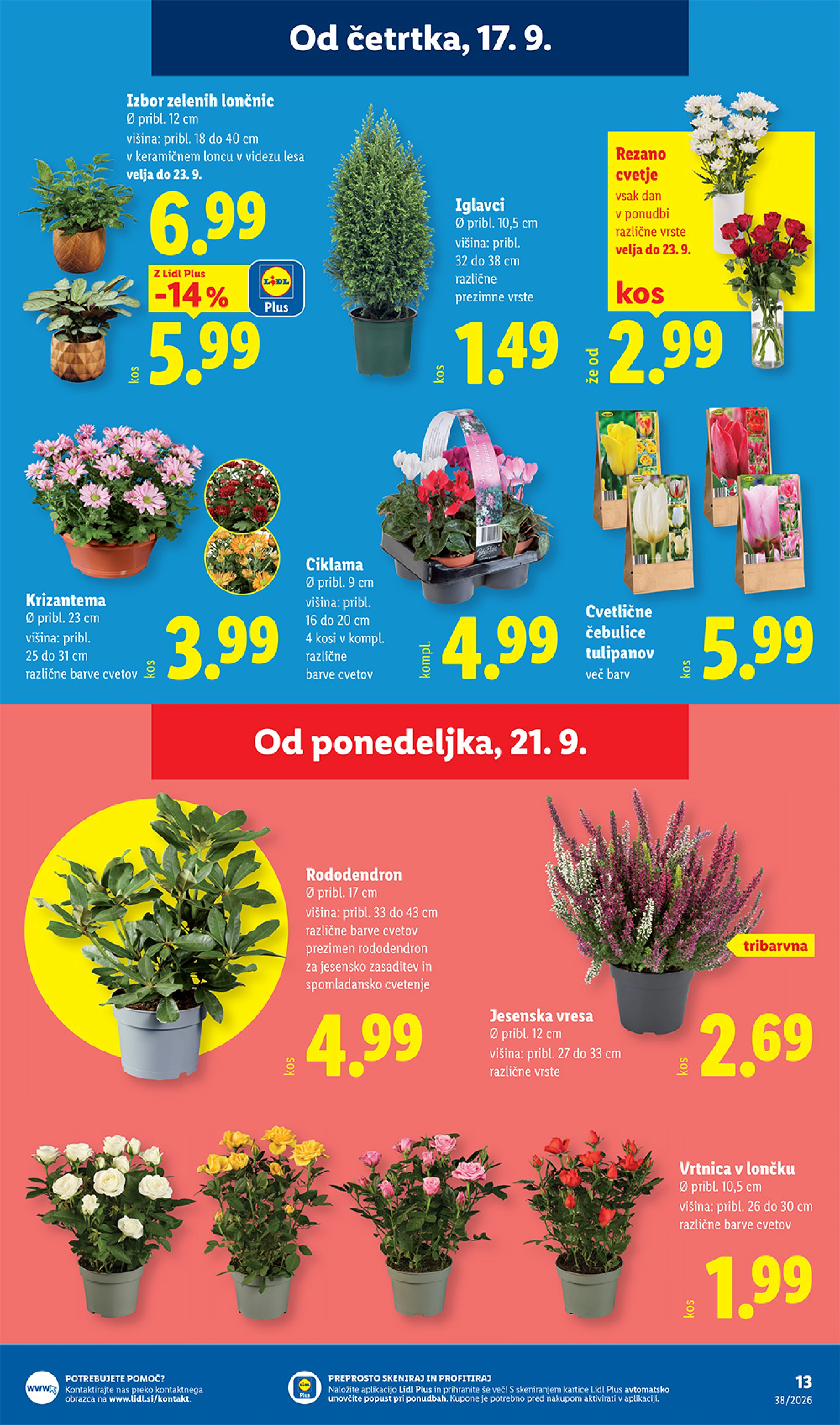 Flyer page 23