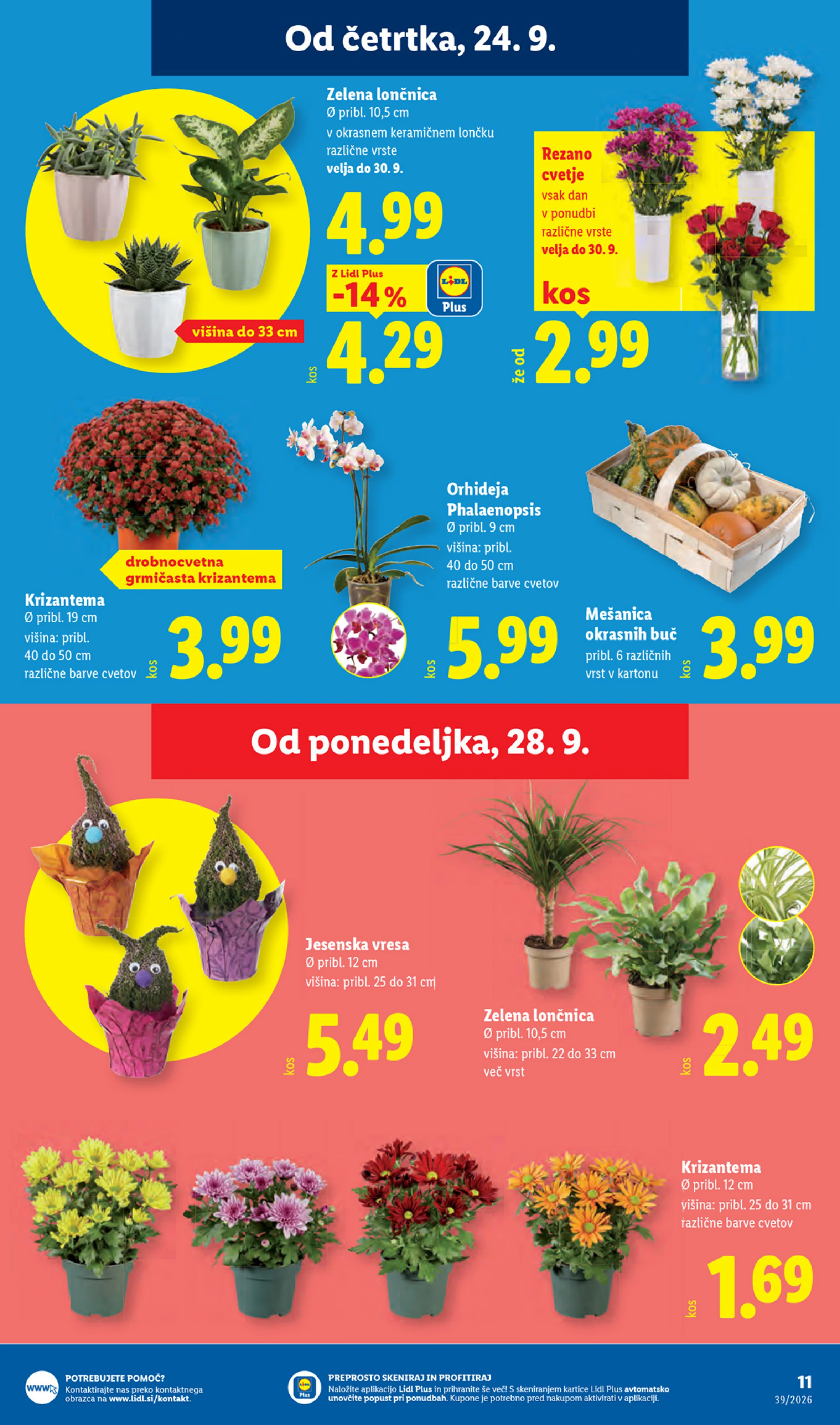 Flyer page 17