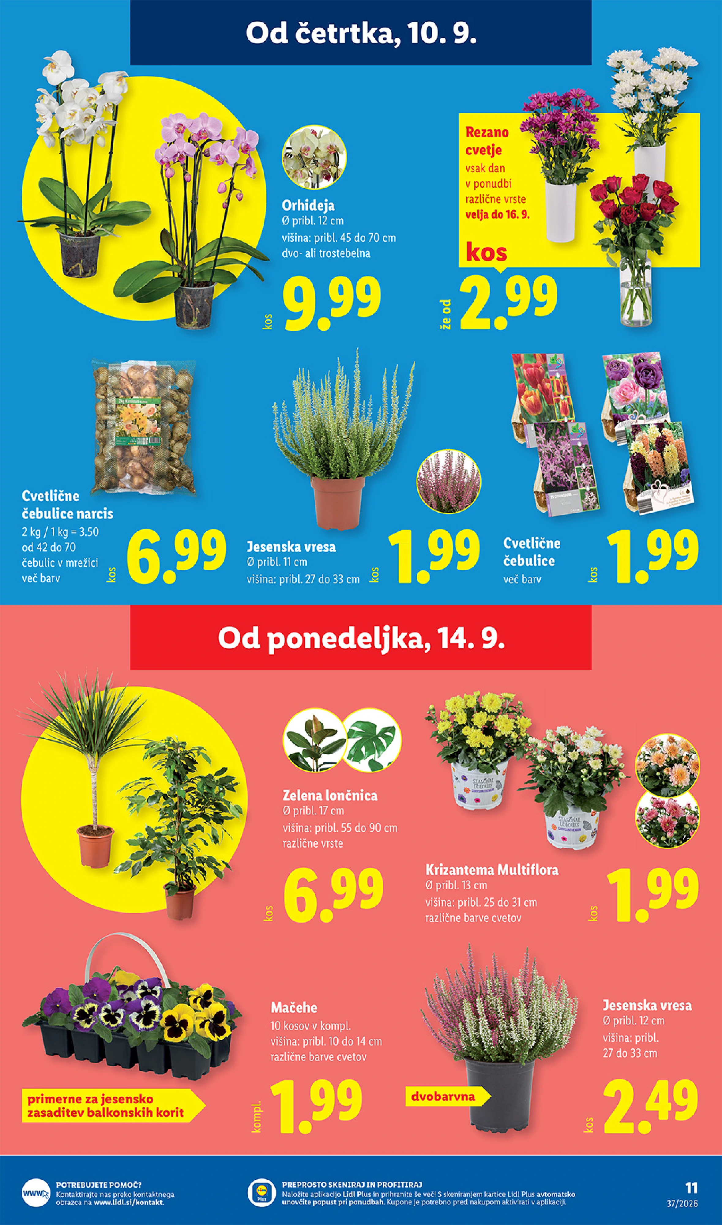 Flyer page 17