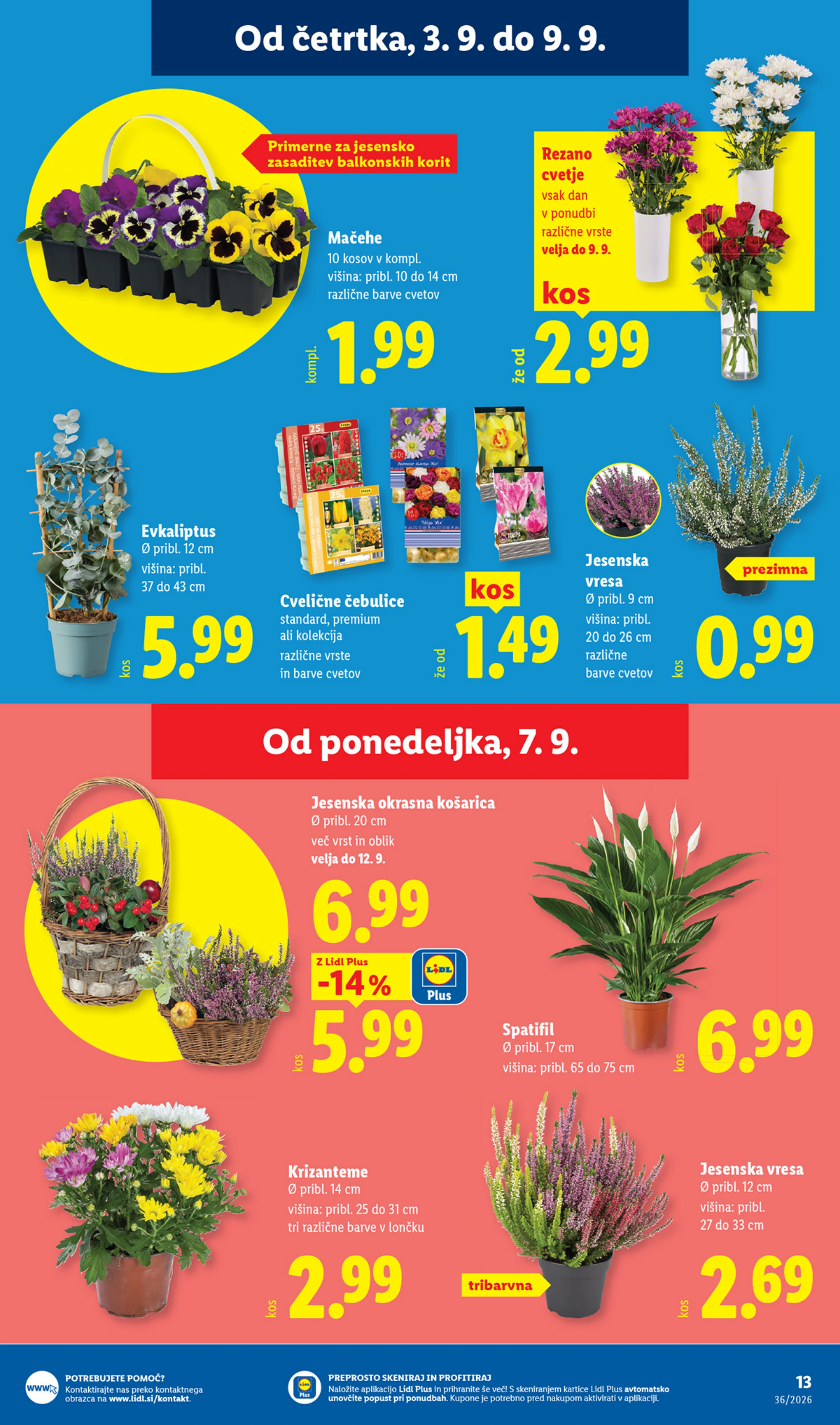 Flyer page 23
