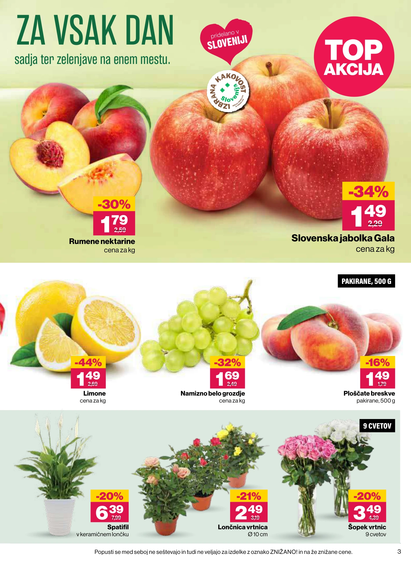 Flyer page 3