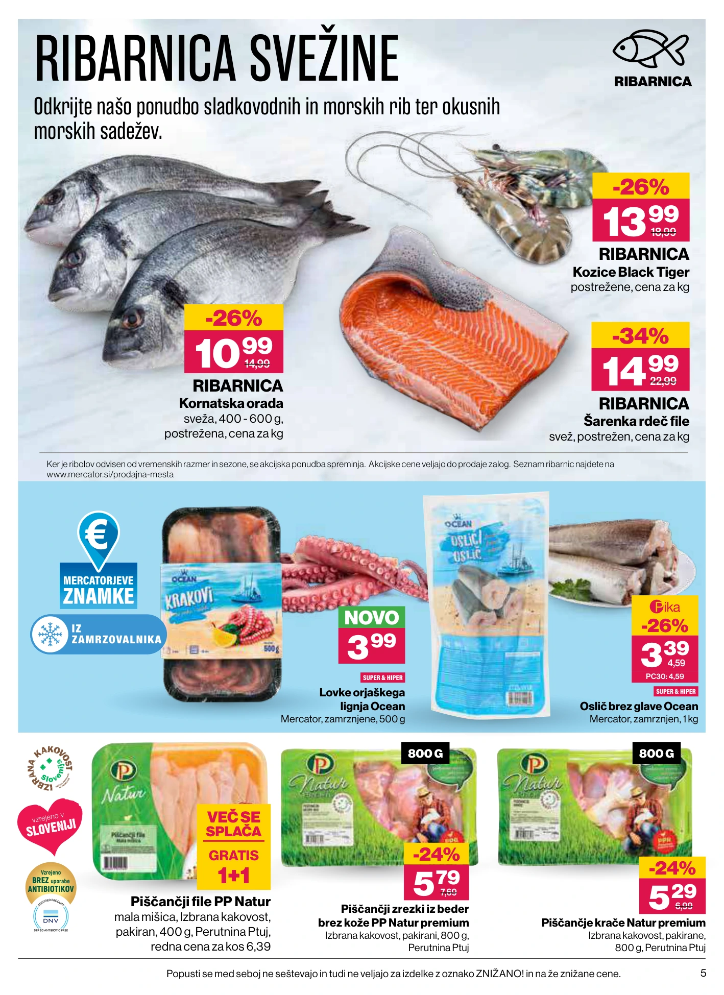 Flyer page 5