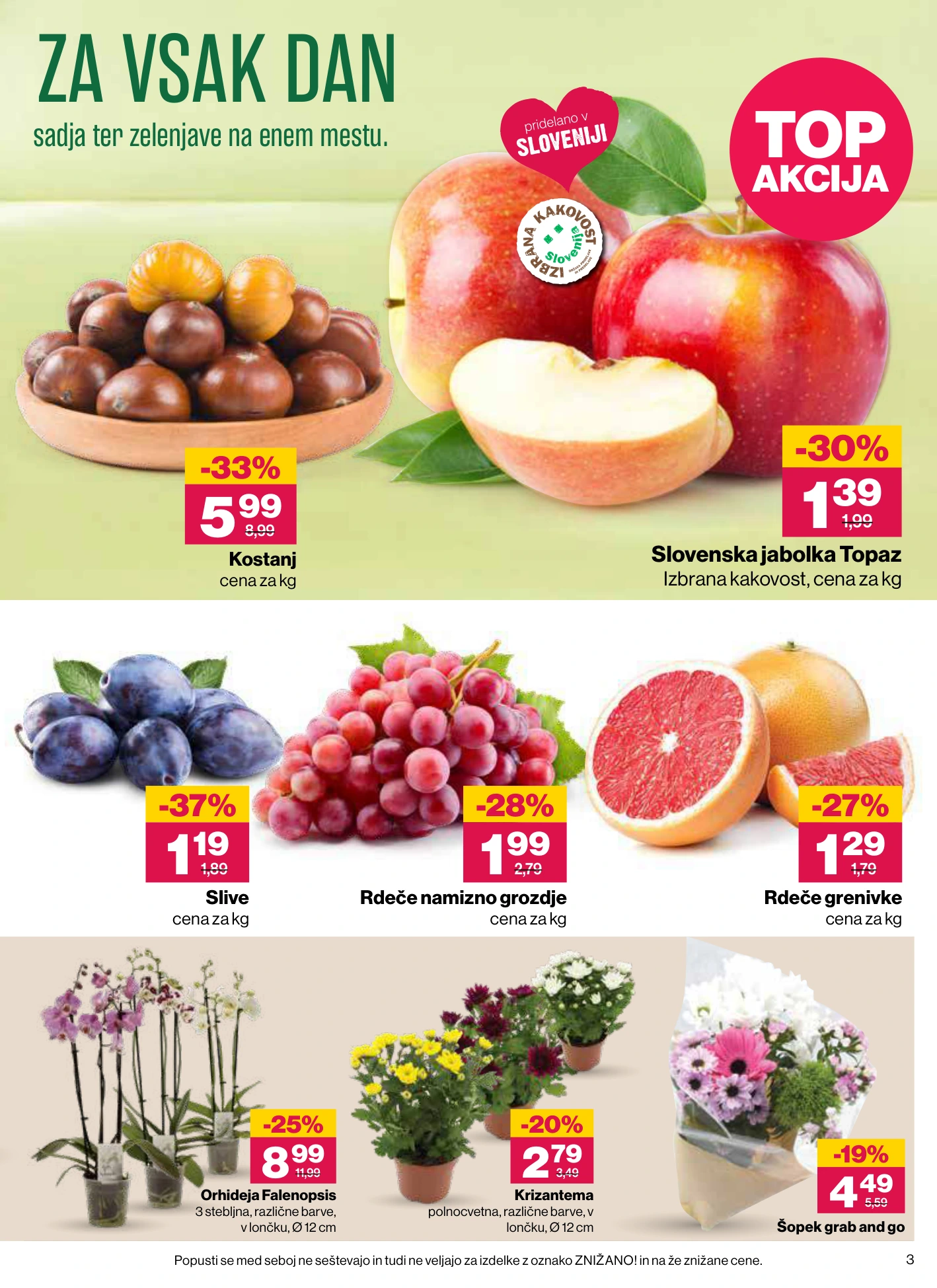 Flyer page 3