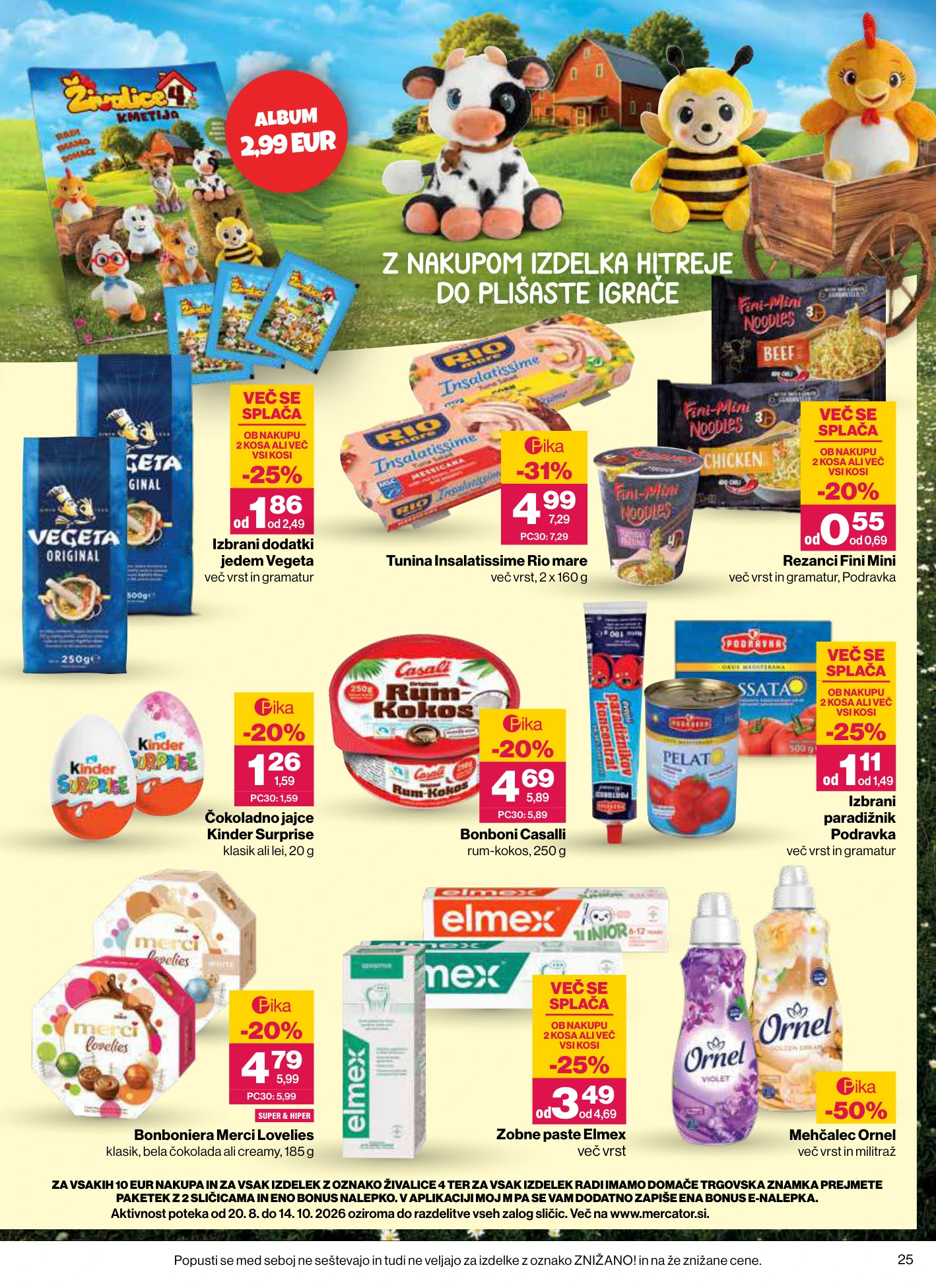 Flyer page 25
