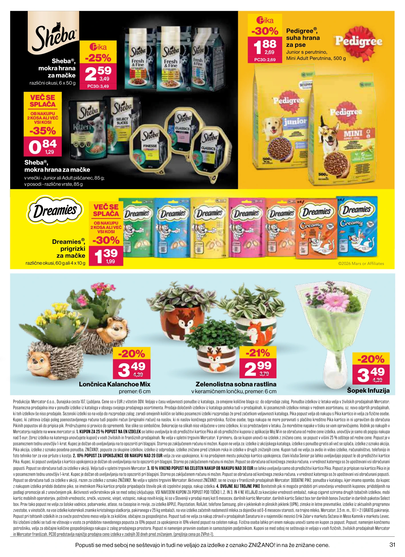 Flyer page 31