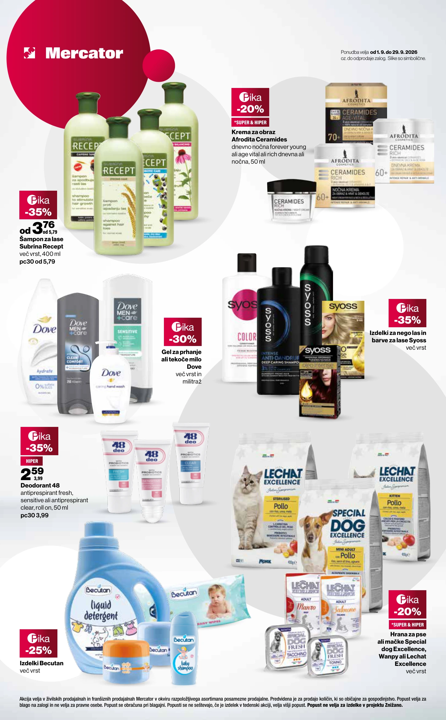 Flyer page 3