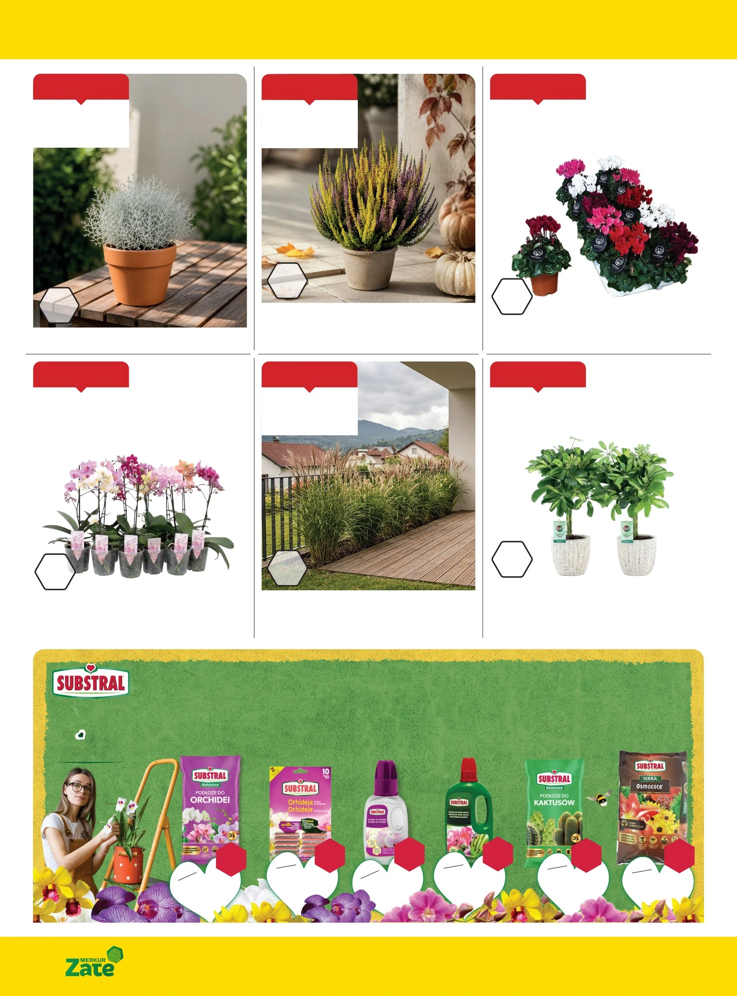 Flyer page 17