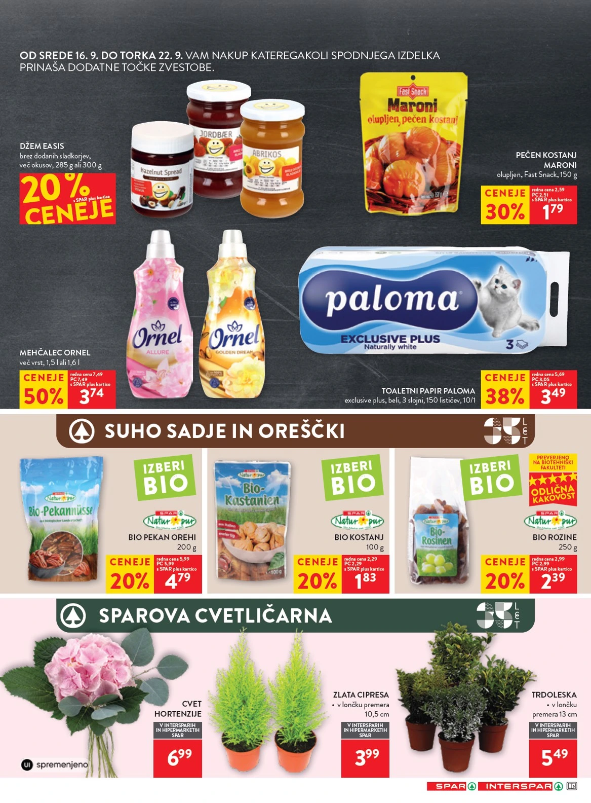 Flyer page 19