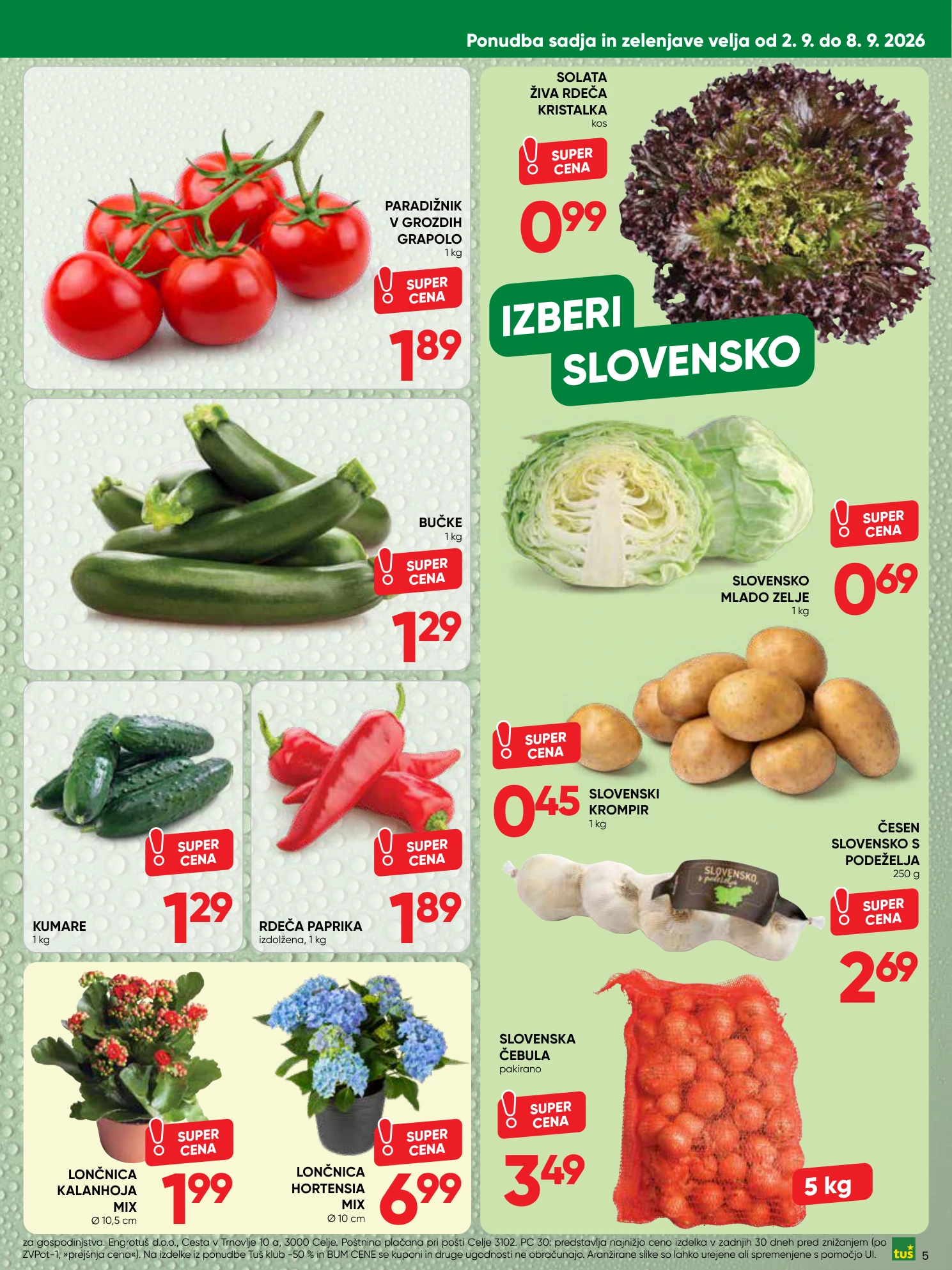 Flyer page 5