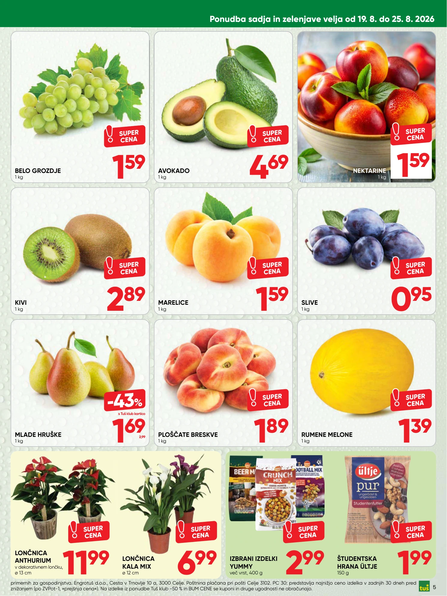 Flyer page 5