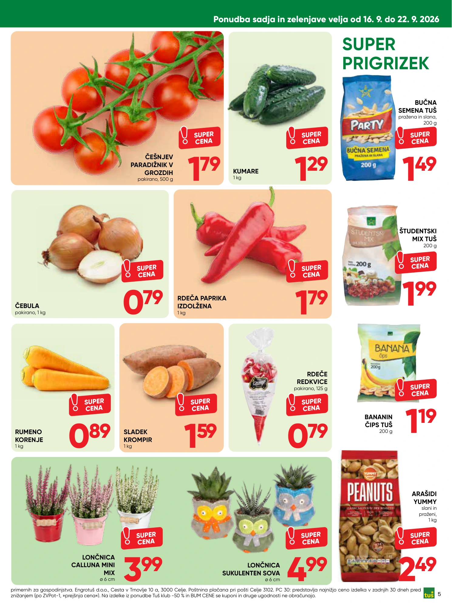Flyer page 5