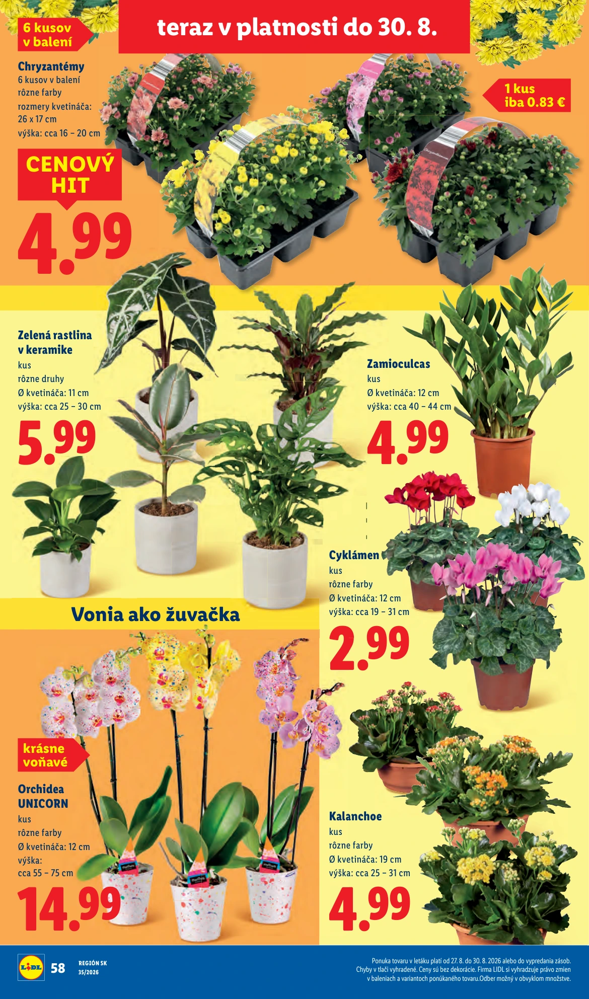 Flyer page 72